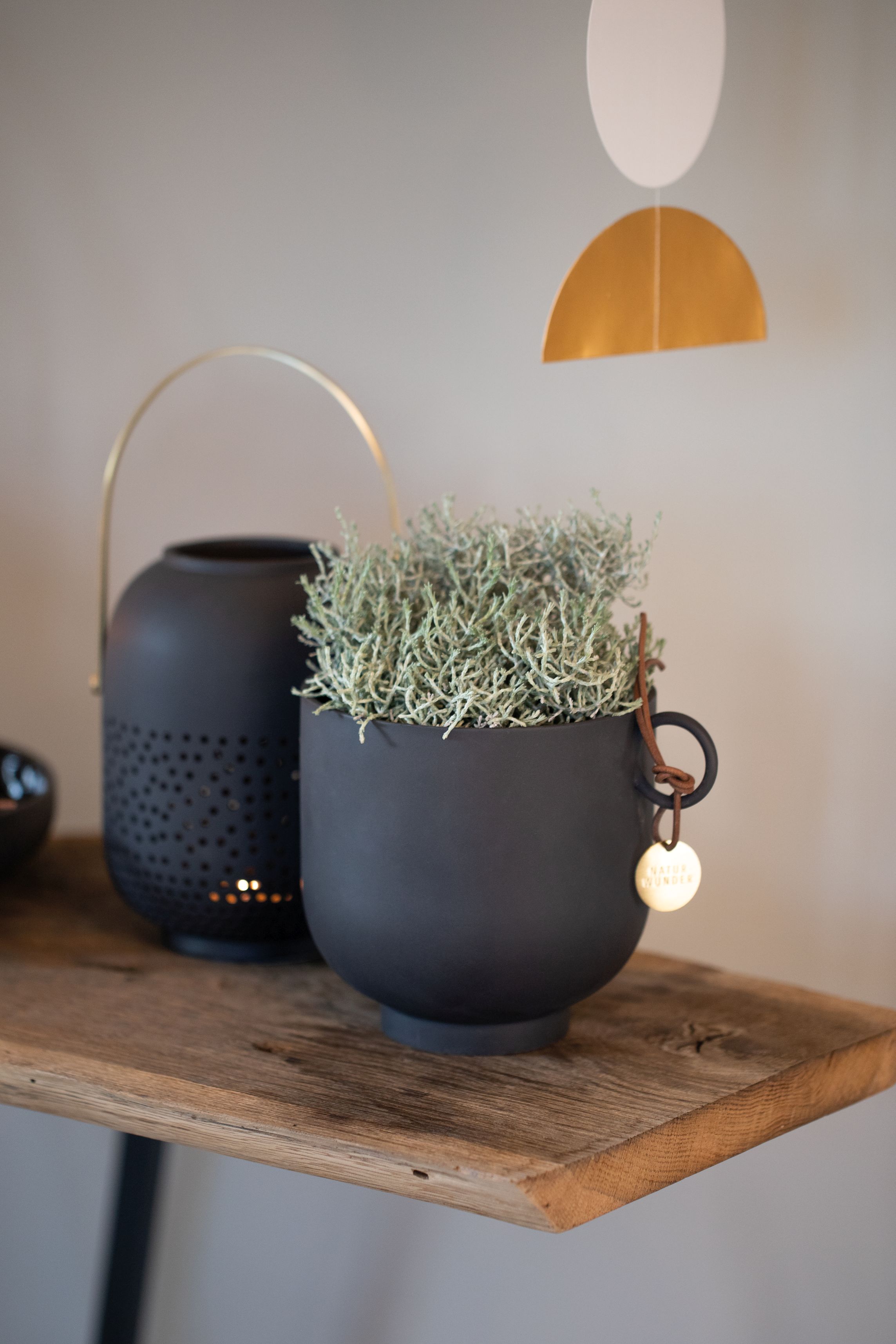 Dekorative Zuhausesein Laterne Sternenhimmel auf einem Holztisch, daneben ein Topf mit Pflanze als Deko.