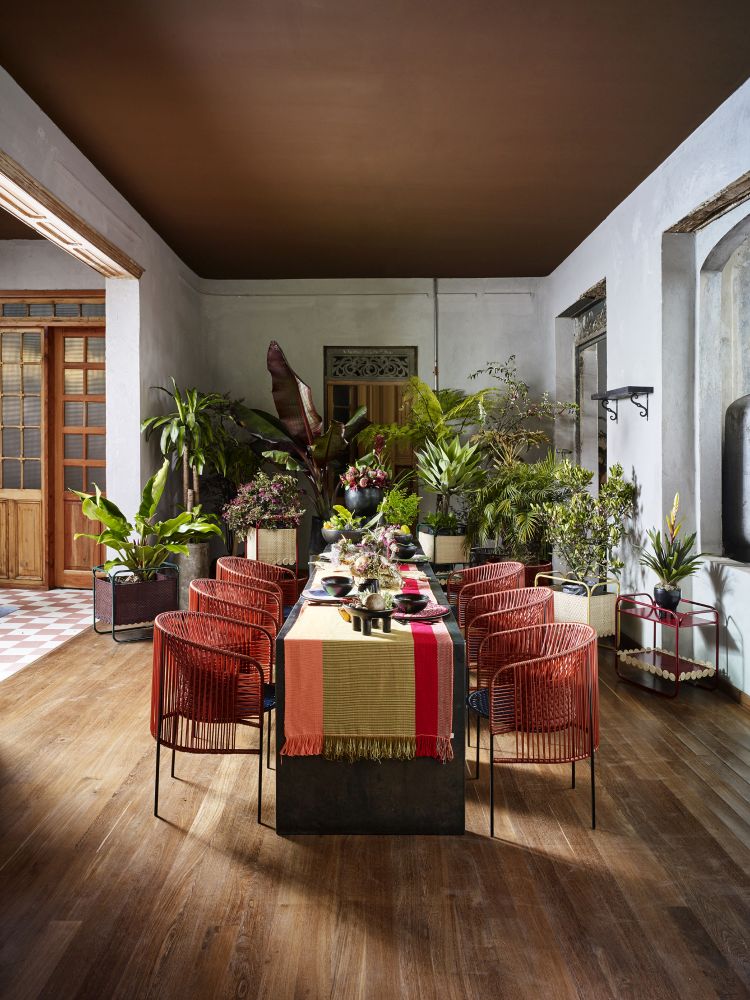 Esszimmer mit Ames Caribe Chic Stühlen, Holzboden und Pflanzen für ein stilvolles Outdoor-Ambiente.