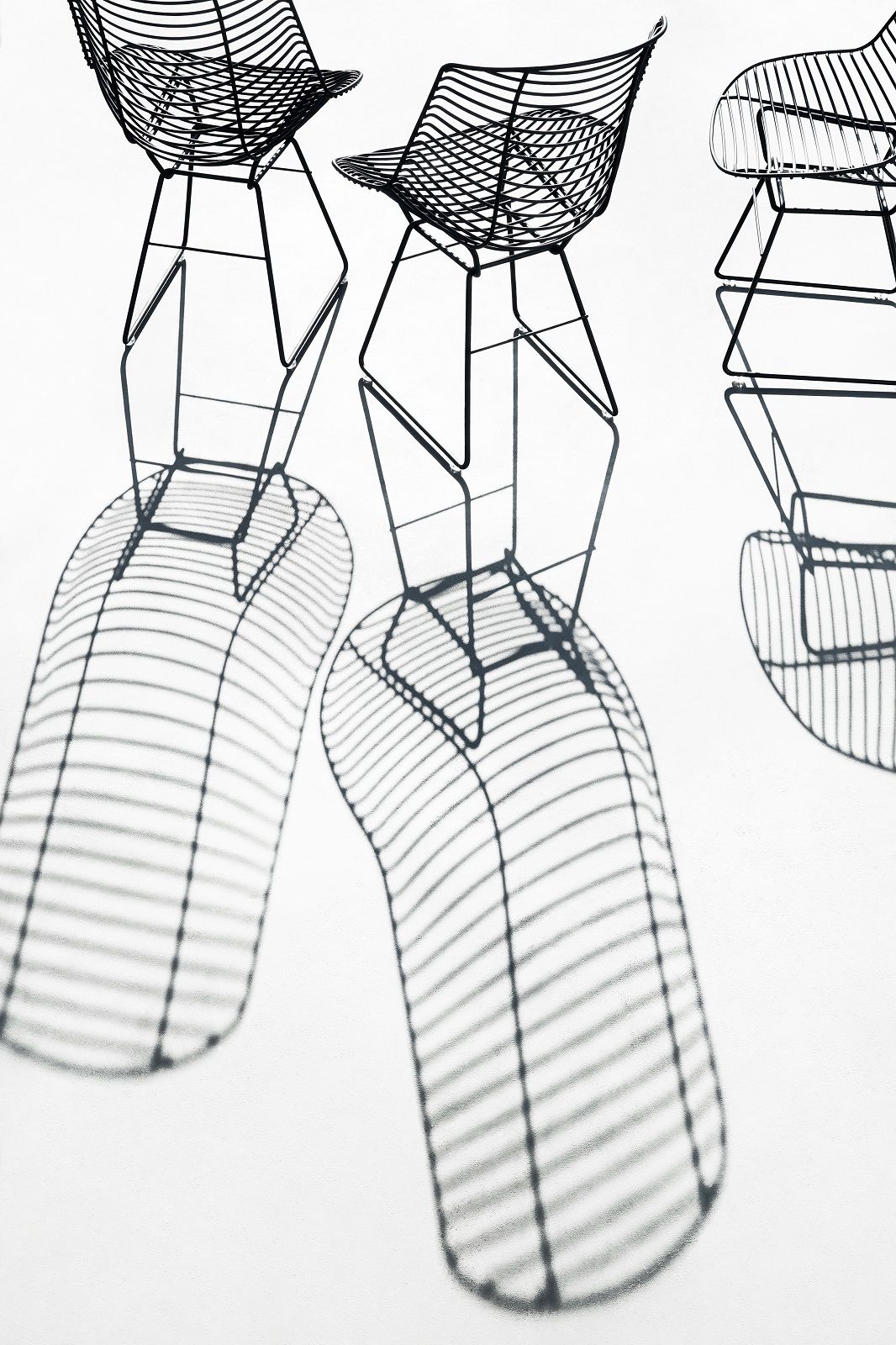 Drei schwarze Flow Filo Stühle von MDF Italia mit filigranem Drahtgestell und Schatten.