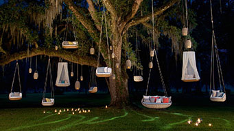 Swingrest Hängelounge mit Sitzkissen von Dedon unter einem Baum. Exklusive Outdoor Loungemöbel für Garten und Terrasse.