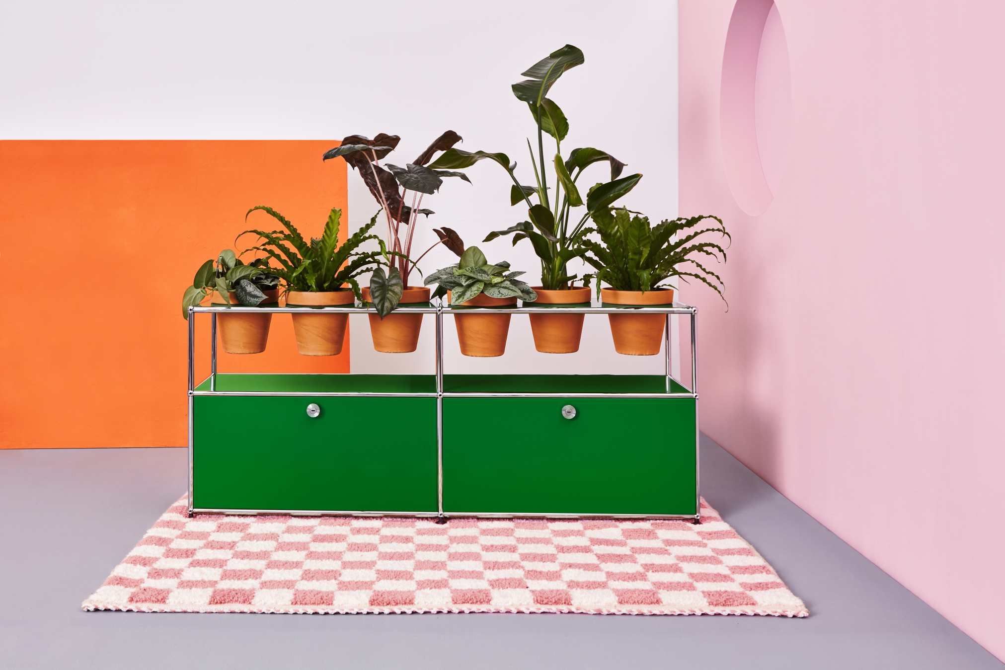 Pflanzenwelten Sideboard mit USM Haller in Enzianblau und Zimmerpflanzen auf einem Teppich.