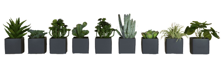 Neun graue Mini Sukkulenten Kunstpflanzen in quadratischen Töpfen, dekoratives Set für Zuhause und Büro.