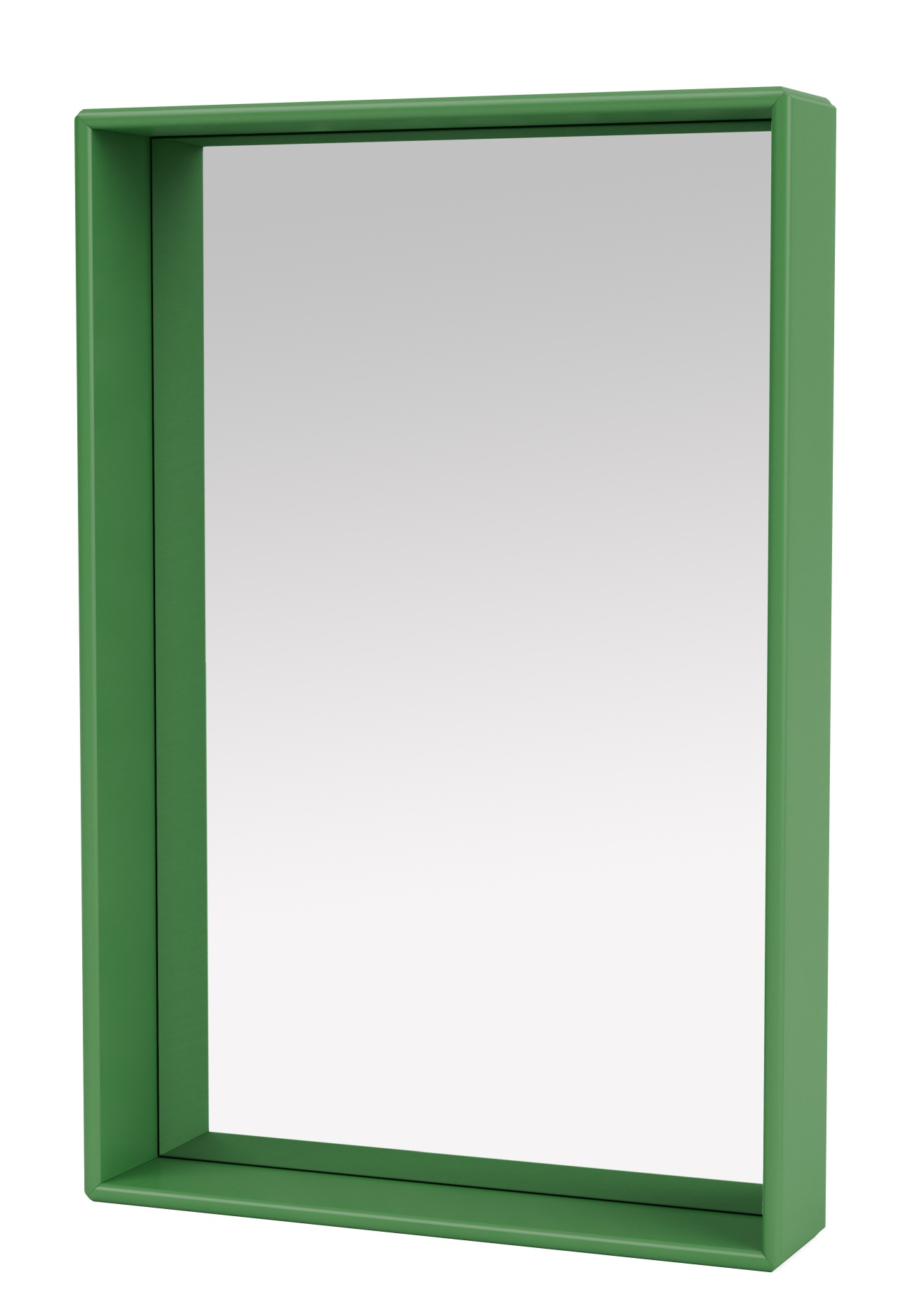 Colour Frame Mirror Shelfie Spiegel Montana Parsley