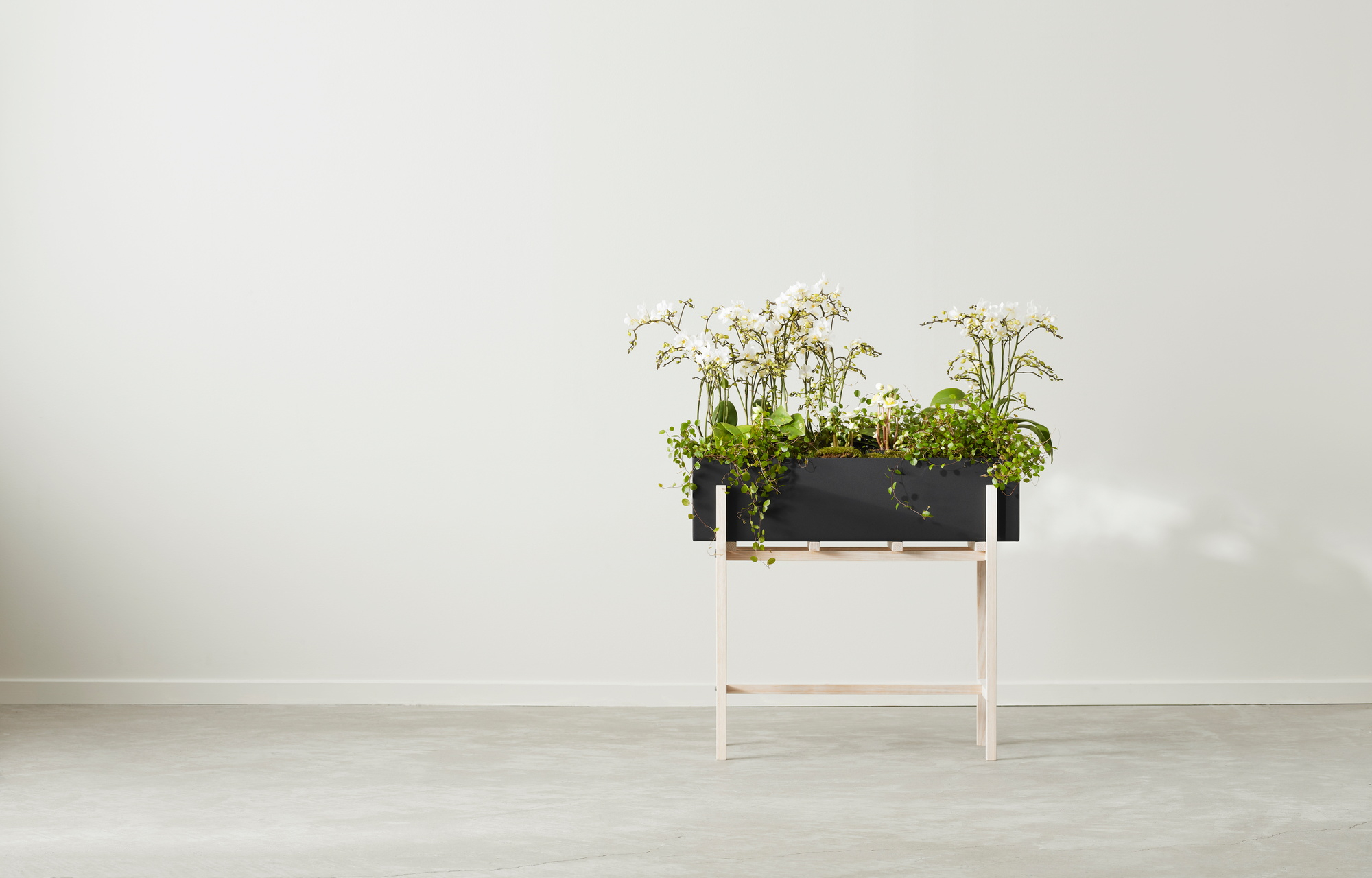 Botanic Flower Stand Blumenkasten Groß Design House Stockholm - EINZELSTÜCKE