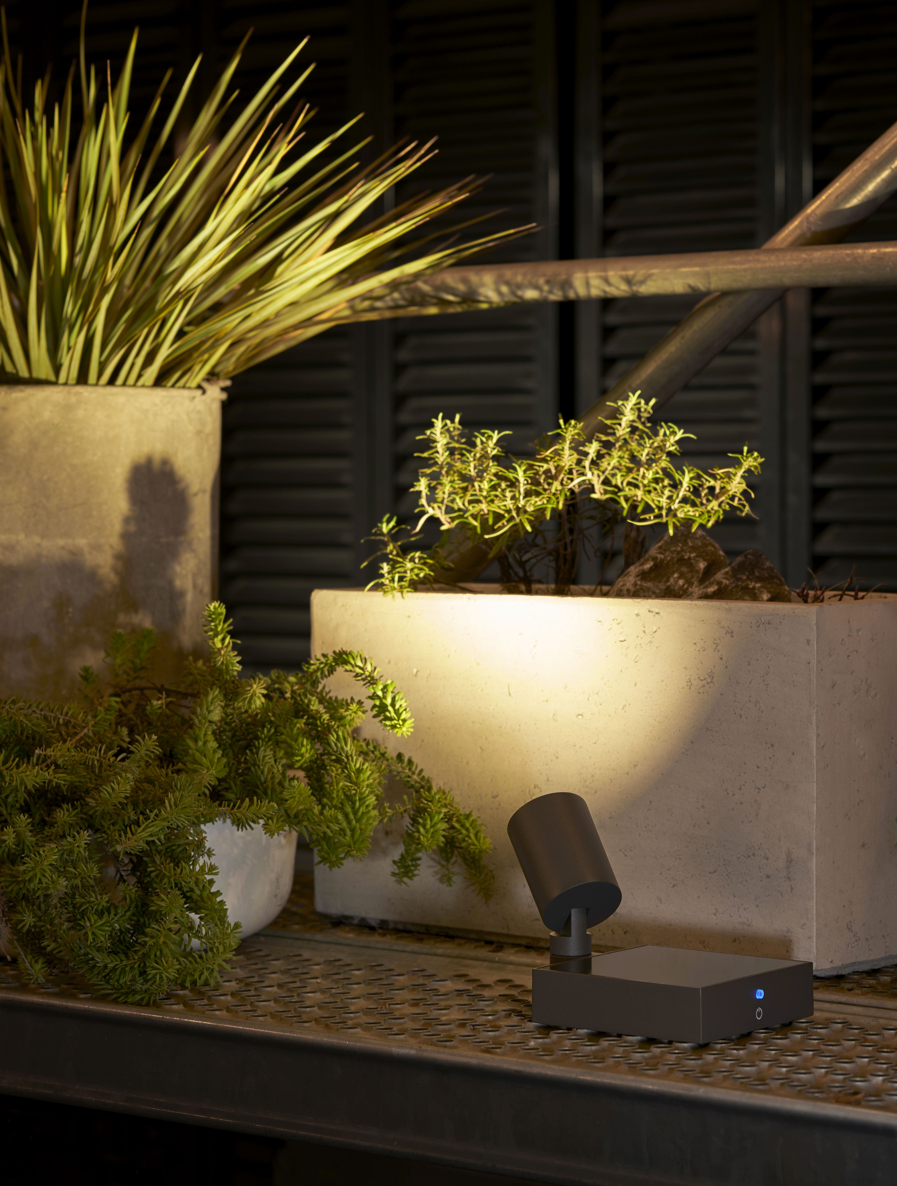 Spot.E Solar-Gartenstrahler von Moree beleuchtet Pflanzen in Töpfen, moderne Gartenbeleuchtung für stimmungsvolles Ambiente.