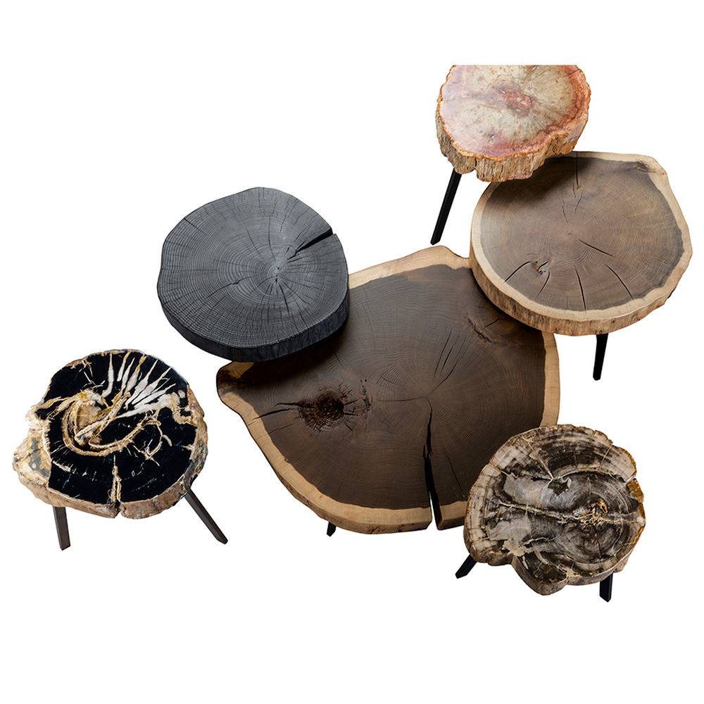Stomp Beistelltisch aus verschiedenen Baumscheiben mit sichtbaren Jahresringen und schwarzen Metallbeinen.