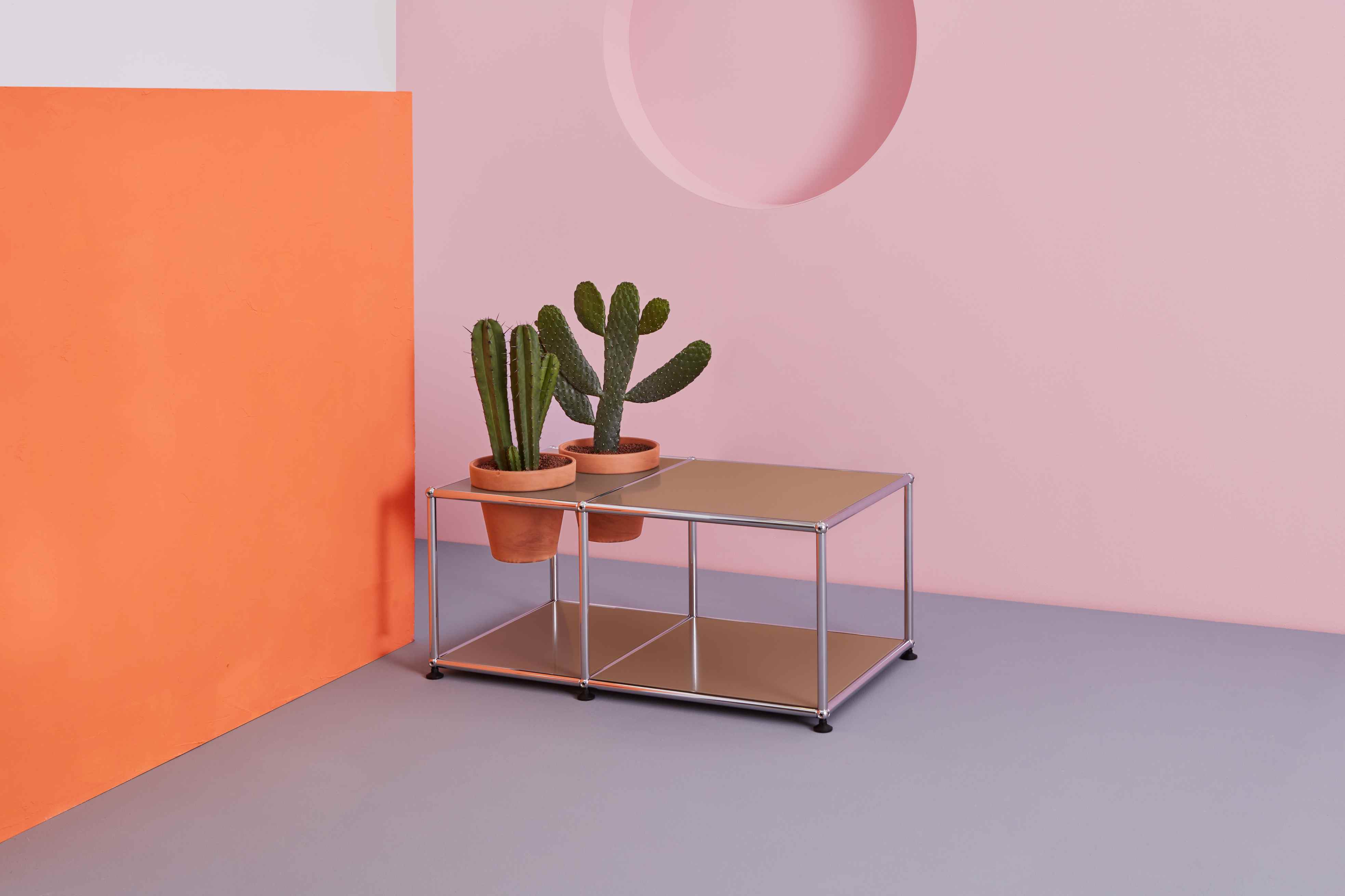 Pflanzenwelten Beistelltisch USM Haller in Mittelgrau mit zwei Kakteen in Terrakotta-Töpfen. Moderner Design Beistelltisch.