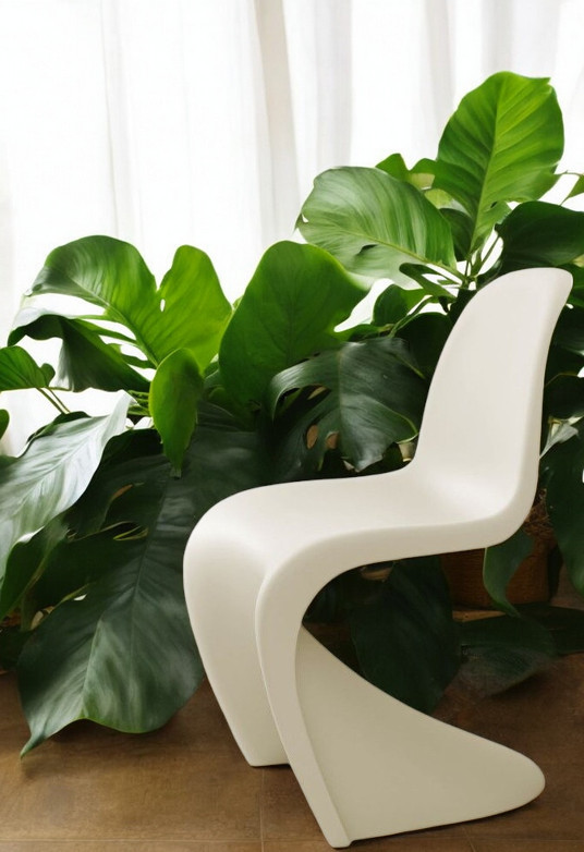 Beiger Panton Chair von Vitra, neue Höhe, vor grünen Pflanzen. Designklassiker Kunststoffstuhl.