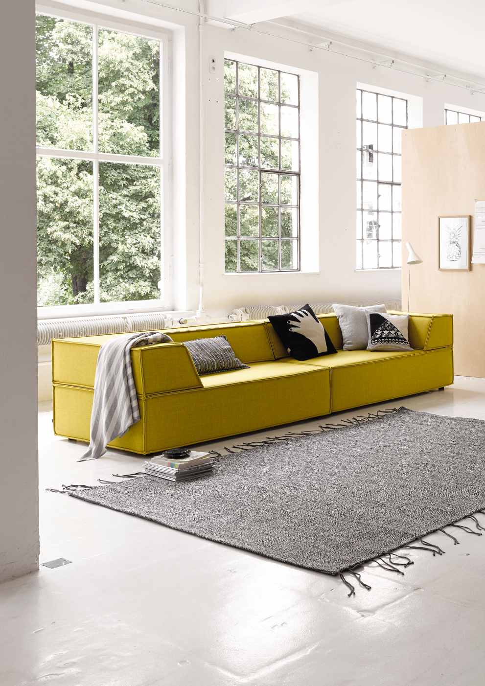 Gelbes Trio Sofa mit Rückenkissen und grauem Teppich in hellem Wohnzimmer mit großen Fenstern.
