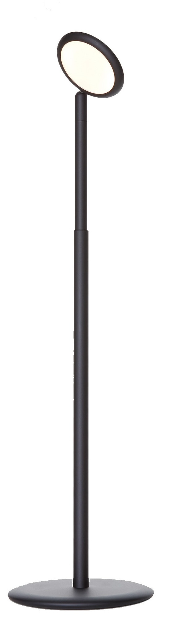 Graue Stehleuchte, Modell Parrot, mit rundem Lampenschirm und schlankem, modernem Design.