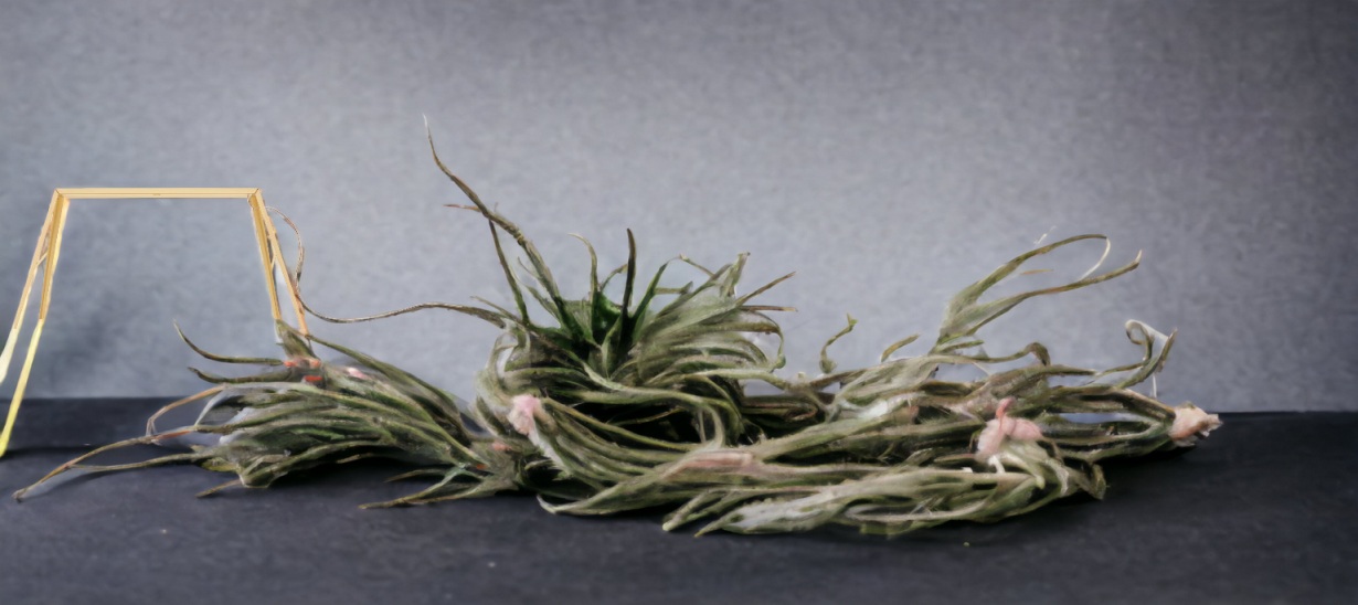 Bridge 1 Tischleuchte von Foscarini: Nahaufnahme der Messing-Tischleuchte mit filigranem Design und warmem Licht.