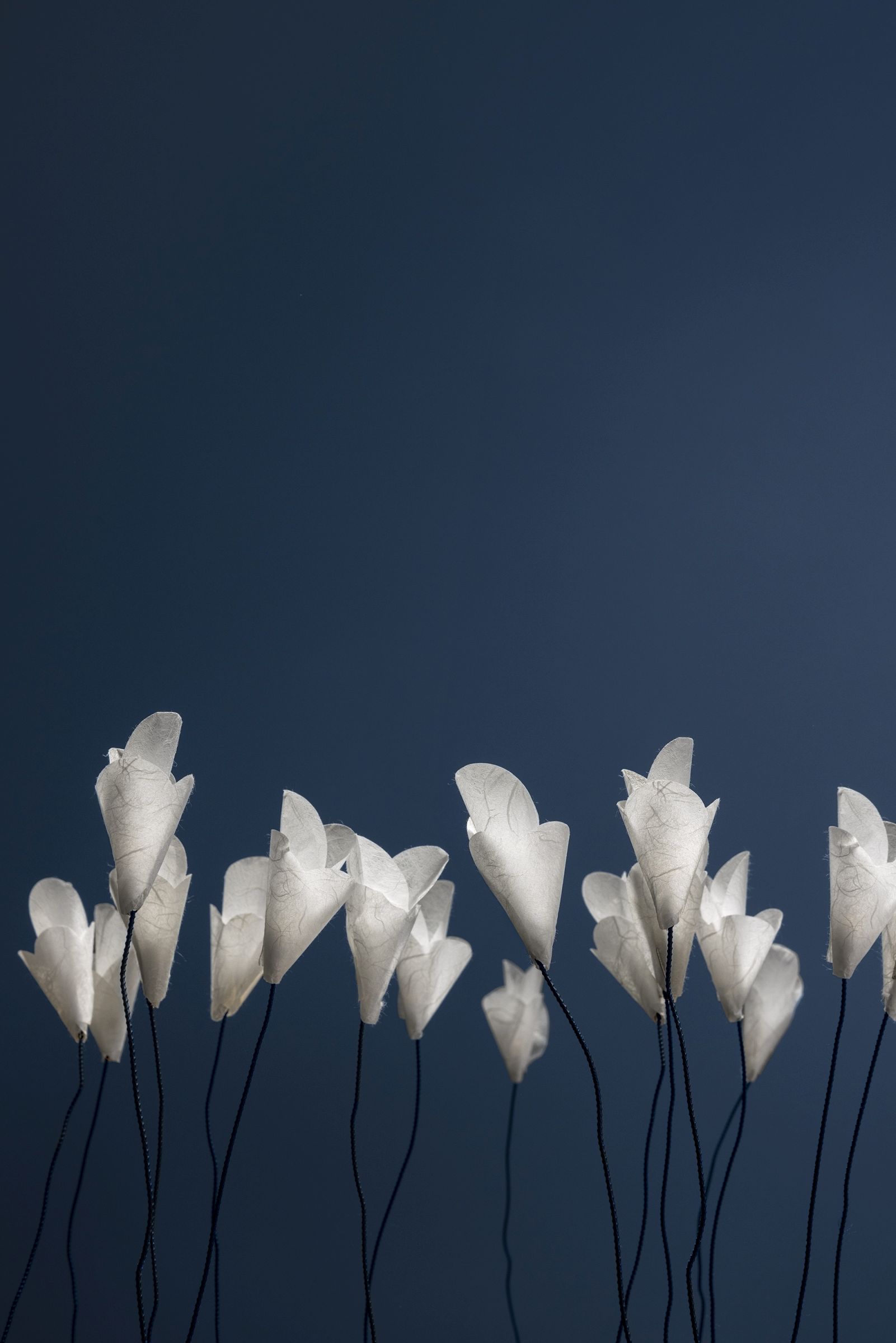 Nahaufnahme der For You Tischleuchte von Catellani & Smith, weiße Blütenform, modernes Design.