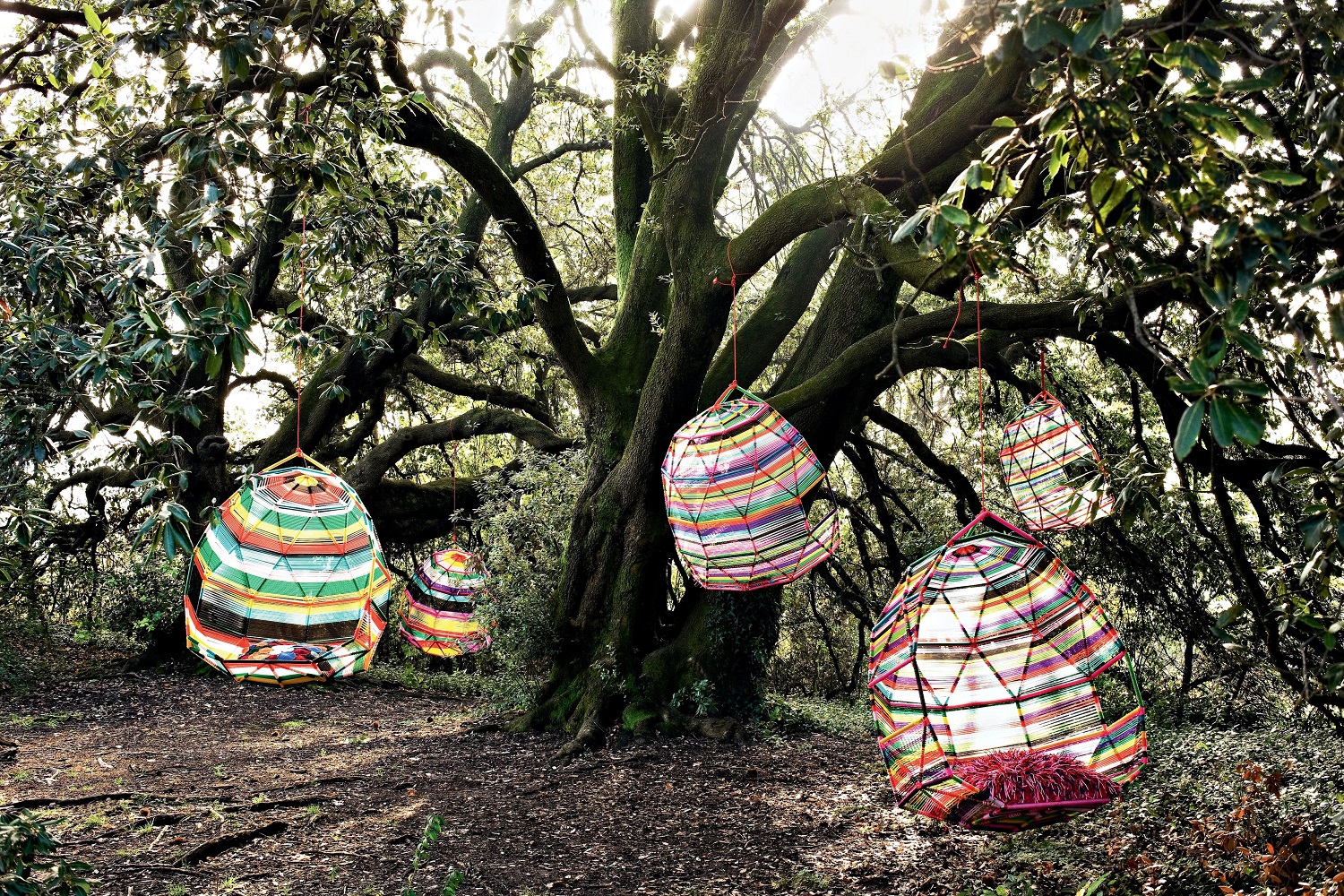 Tropicalia Cocoon Schwingsessel Multicolor mit 5 Kissen Moroso