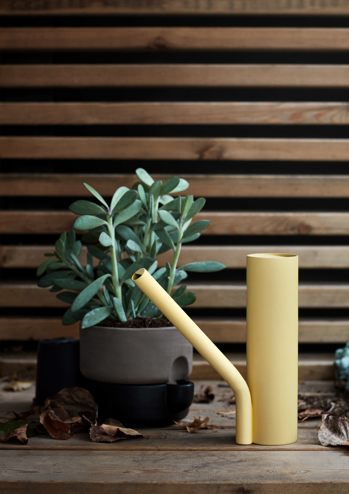 Gelbe Giesskanne für Gräber neben Pflanze im Topf auf Holztisch. Grabpflege mit Stil.