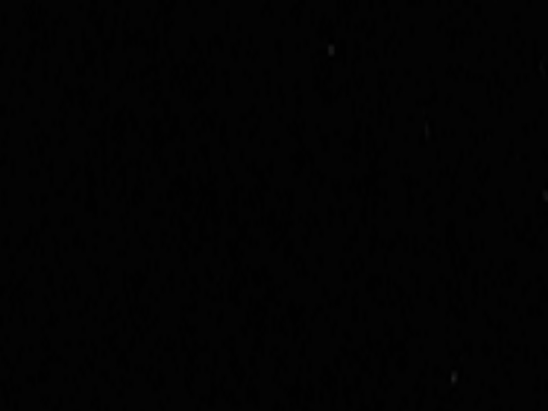 Birke schwarz lackiert