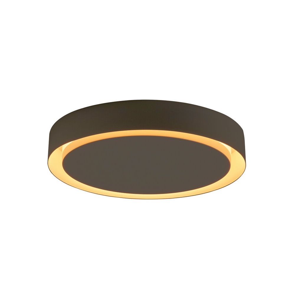 Amigo LED Deckenleuchte von Santa & Cole für den Außenbereich, runde Form, braun.