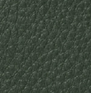 Leder Premium rucola