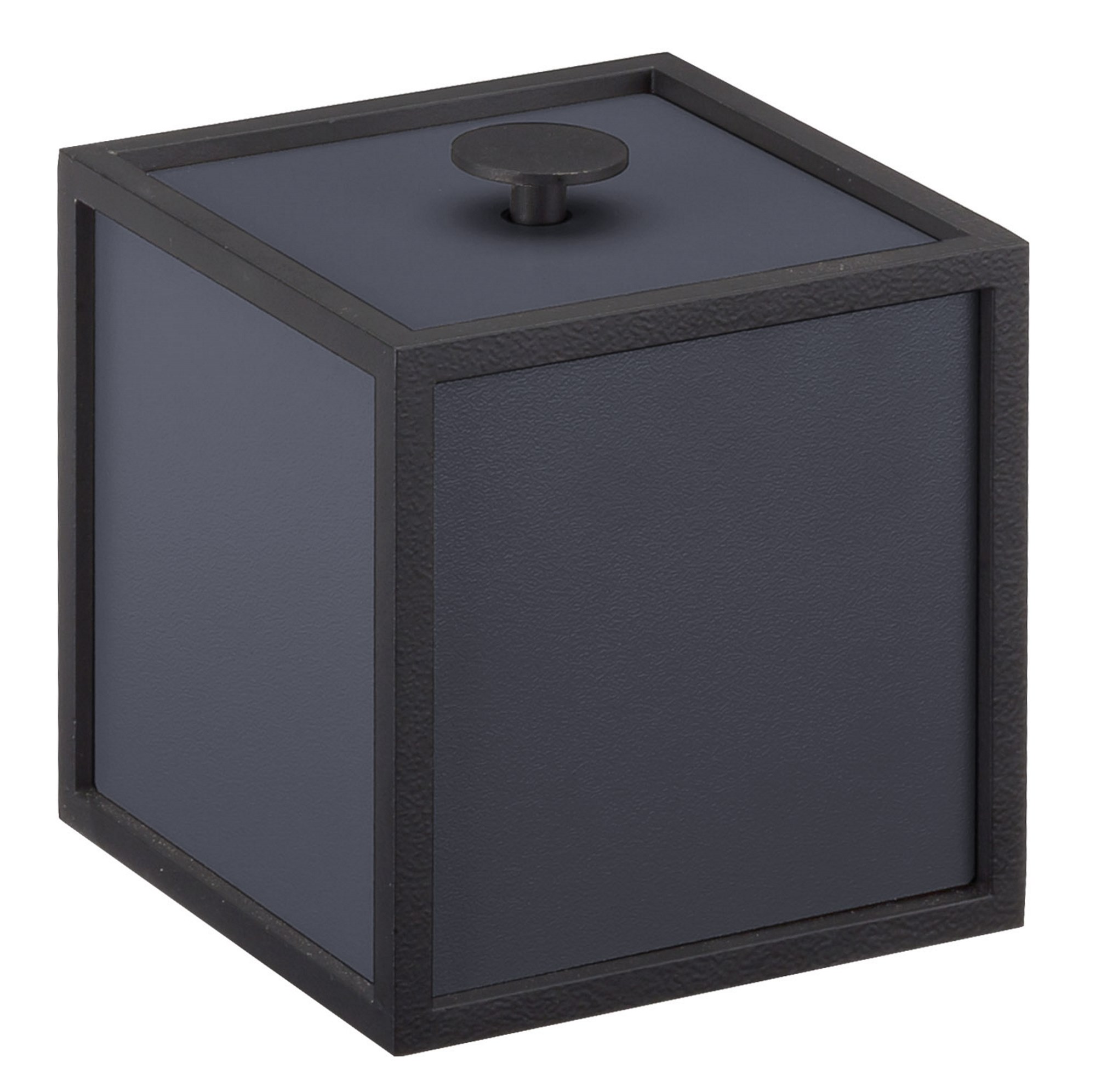 Frame 10 Aufbewahrungsbox EICHE Audo EINZELSTÜCK