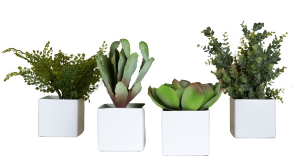 Phoenix Sukkulente: 4er Set Kunstpflanzen in weißen, quadratischen Töpfen für die Dekoration.