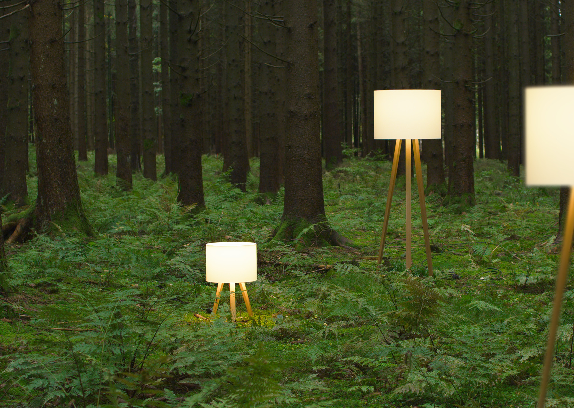 Luca Stand Stehleuchte von Maigrau: Geräucherte Eiche mit naturweißem Filzschirm im Wald. Designleuchte.