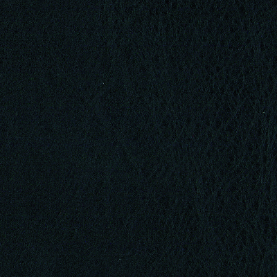 B0187 T - Leder schwarz