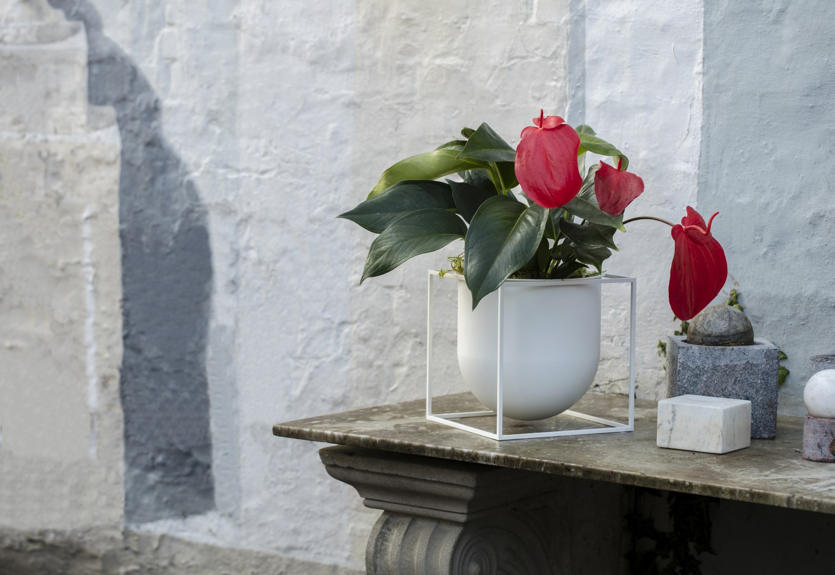 Rote Anthurie im weißen Übertopf mit Metallgestell, Zimmerpflanze für moderne Inneneinrichtung.