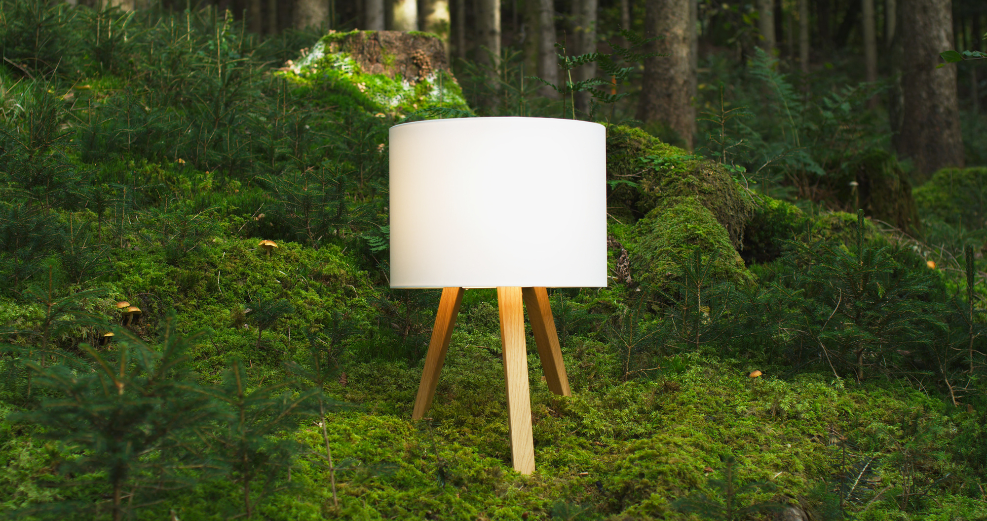 Luca Stand Tischleuchte von Maigrau mit Eichenholz-Gestell und weißem Lampenschirm im Wald.