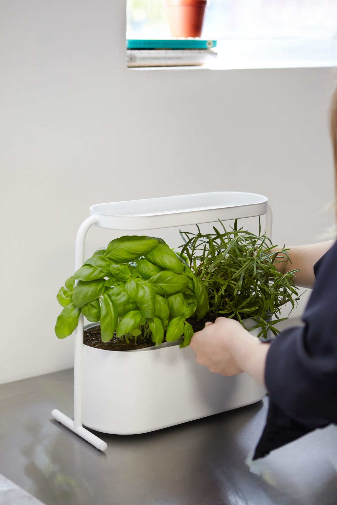 Giardino Planter Kräutertopf Umbra EINZELSTÜCK