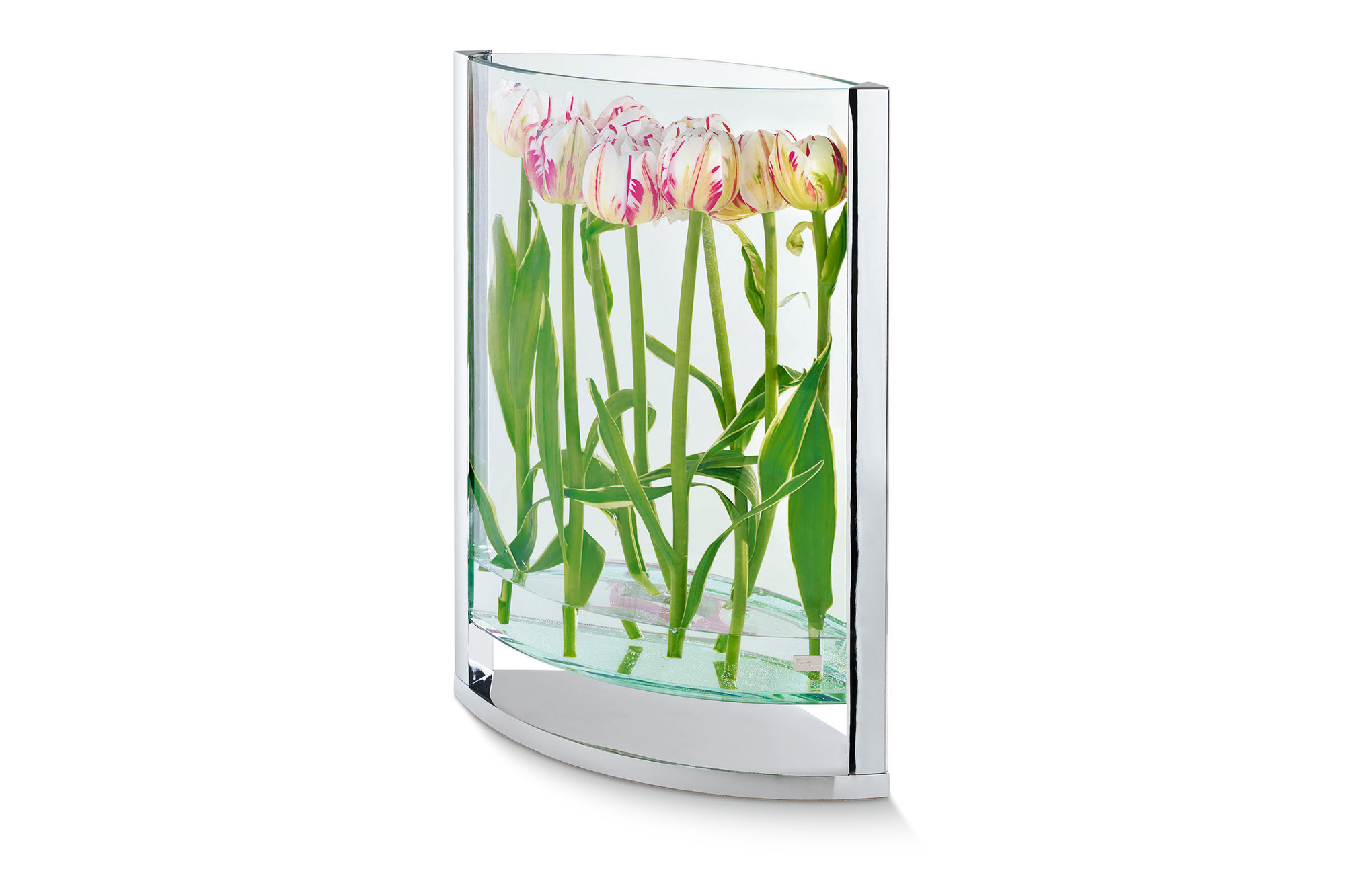 Decade Vase von Philippi mit Tulpen, moderne Glasvase für Blumen und Dekoration.