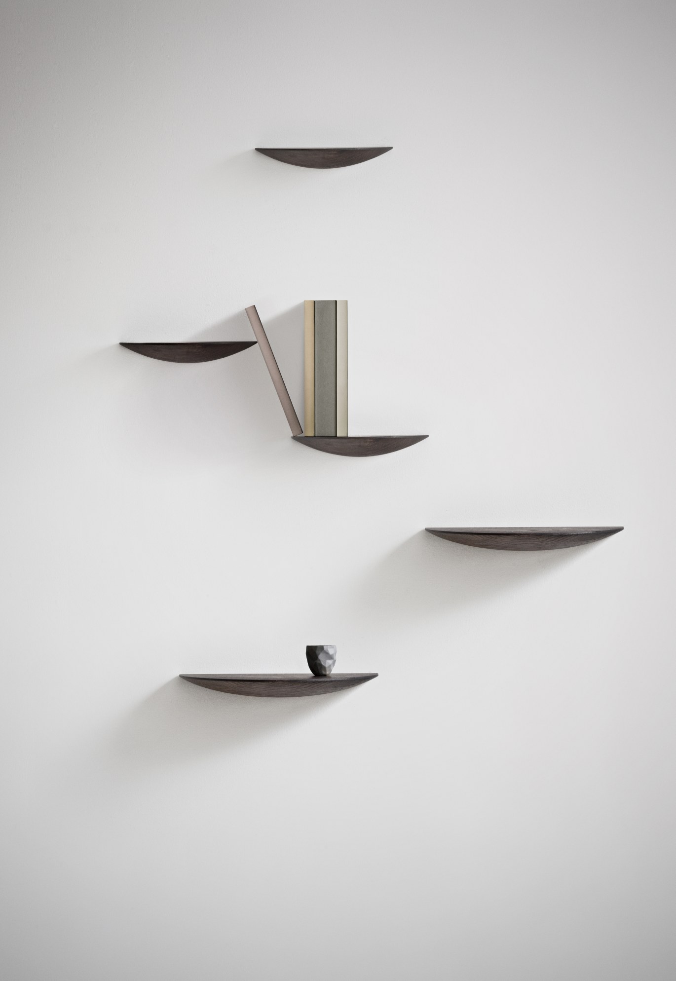 Gridy Fungi Regal, Medium, aus dunkel gebeizter Eiche an einer weißen Wand. Wandregal.