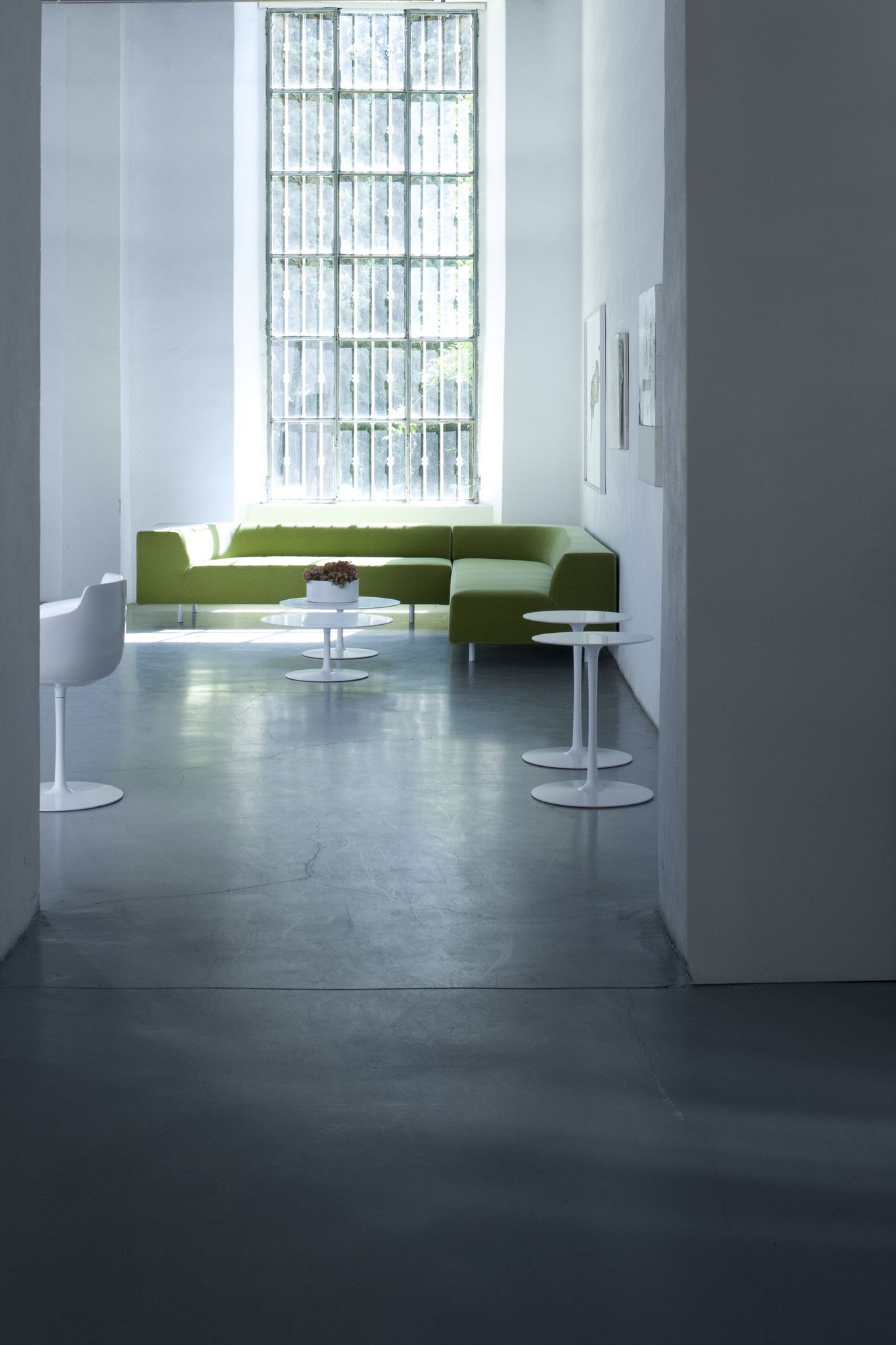 Moderner Wohnraum mit Flow Low Table Couchtischen von MDF Italia und grüner Couch.