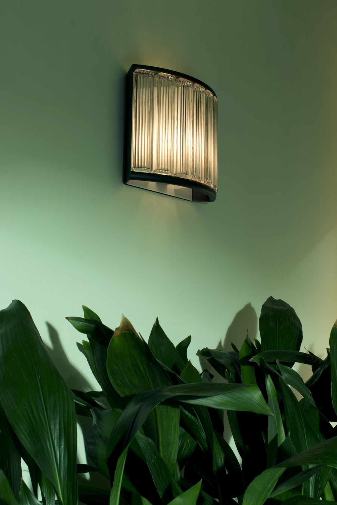 Estadio Wandleuchte von Santa & Cole an grüner Wand, mit geriffeltem Glas und Zimmerpflanze.