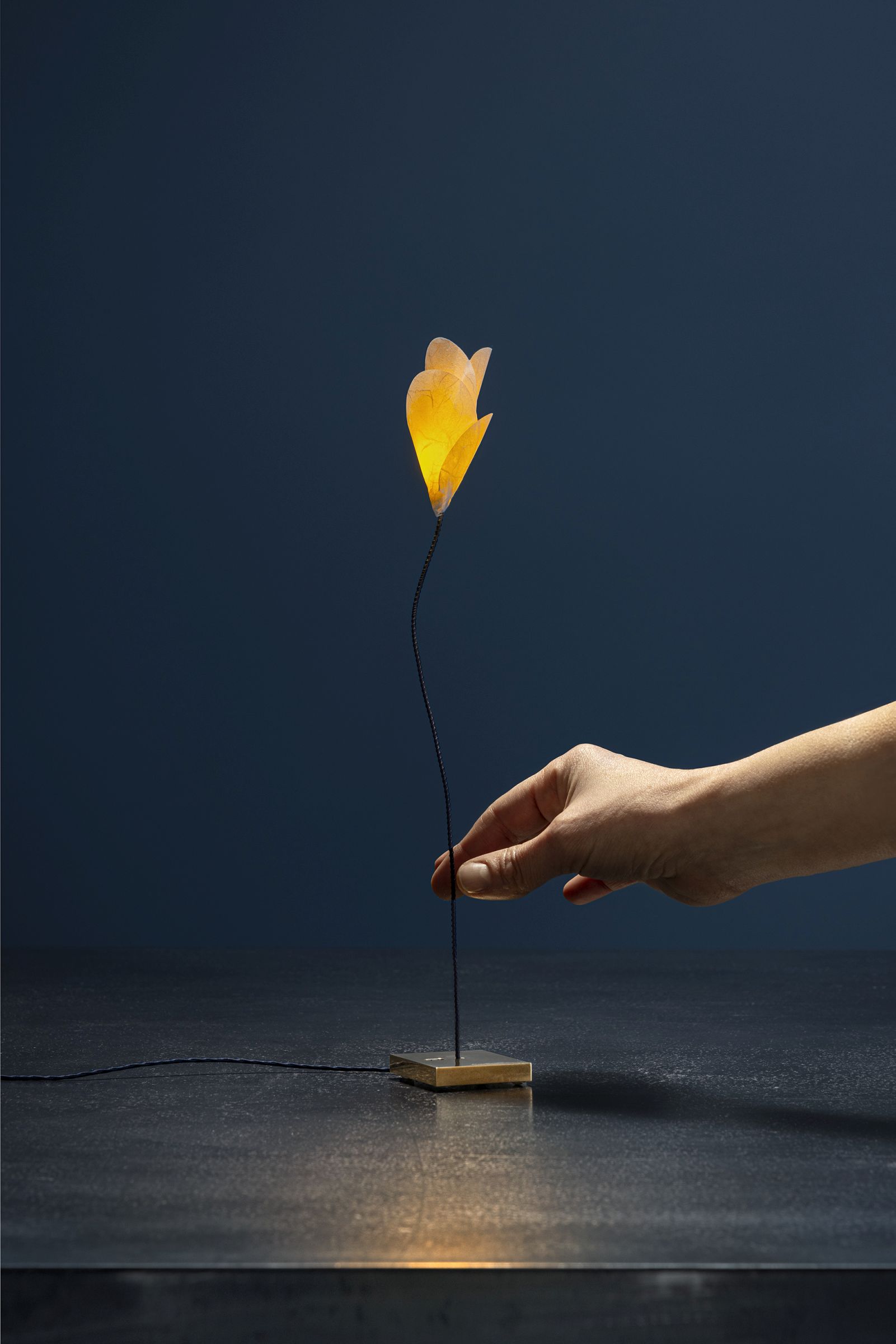 Nahaufnahme der For You Tischleuchte von Catellani & Smith, blütenförmige Designlampe.