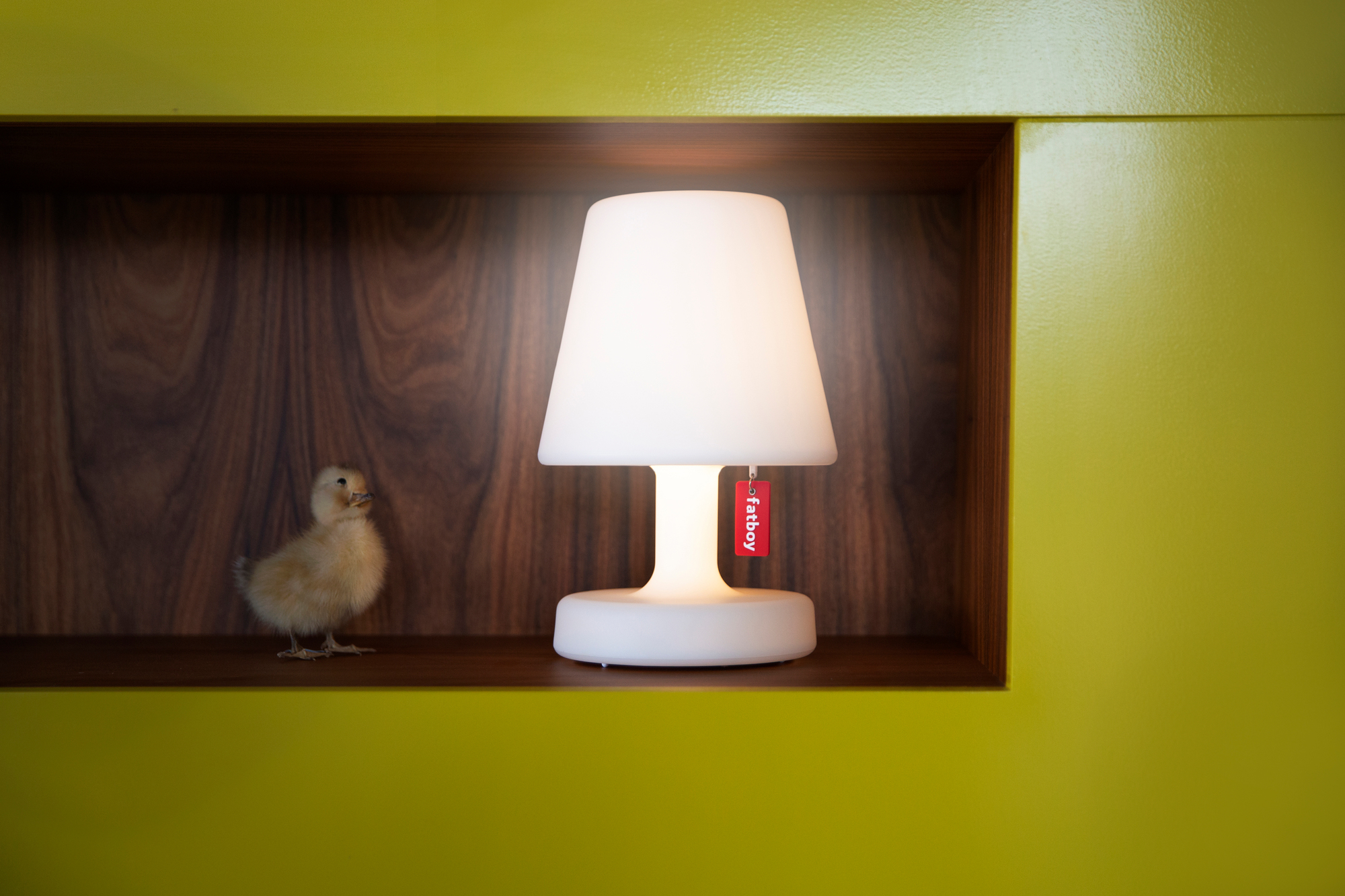 Edison the Petit Outdoor LED 2.0 Tischleuchte Fatboy