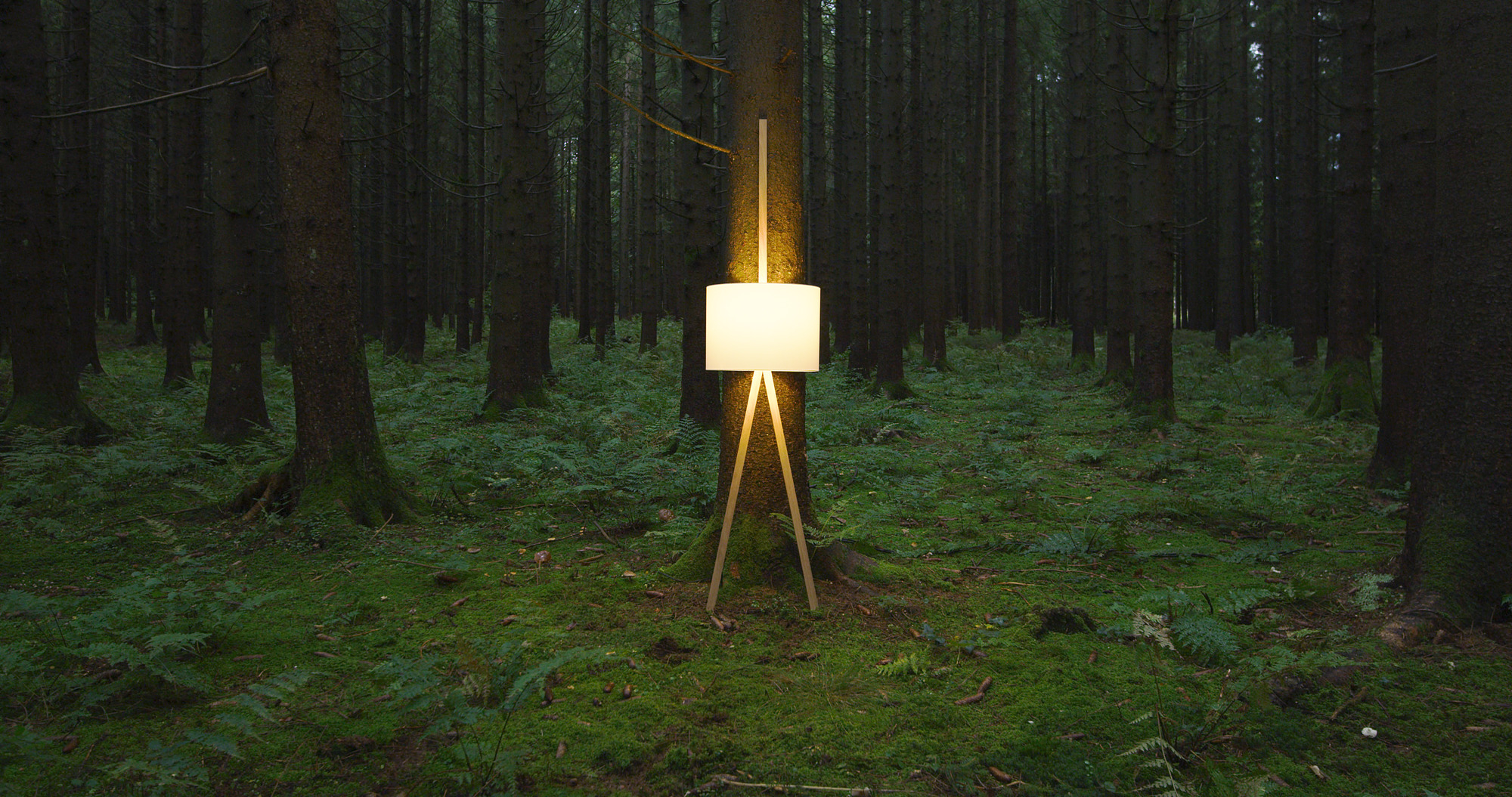 Luca Lean Anlehnleuchte von Maigrau im Wald. Moderne Stehleuchte aus Eiche geräuchert und bronzegrau.