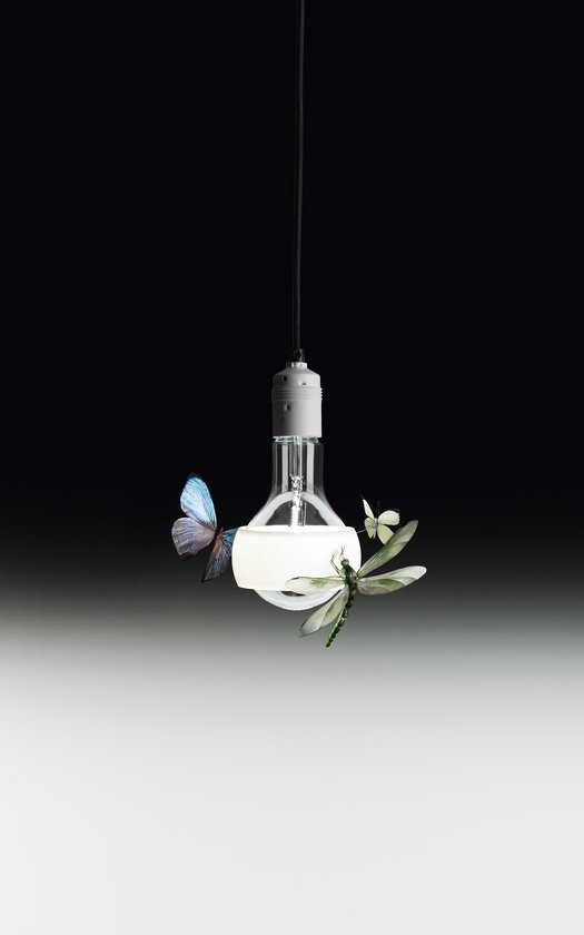 Johnny B. Hängeleuchte: Glühbirne mit Schmetterlingen und Libelle, dekorative Designerlampe für Wohnräume.