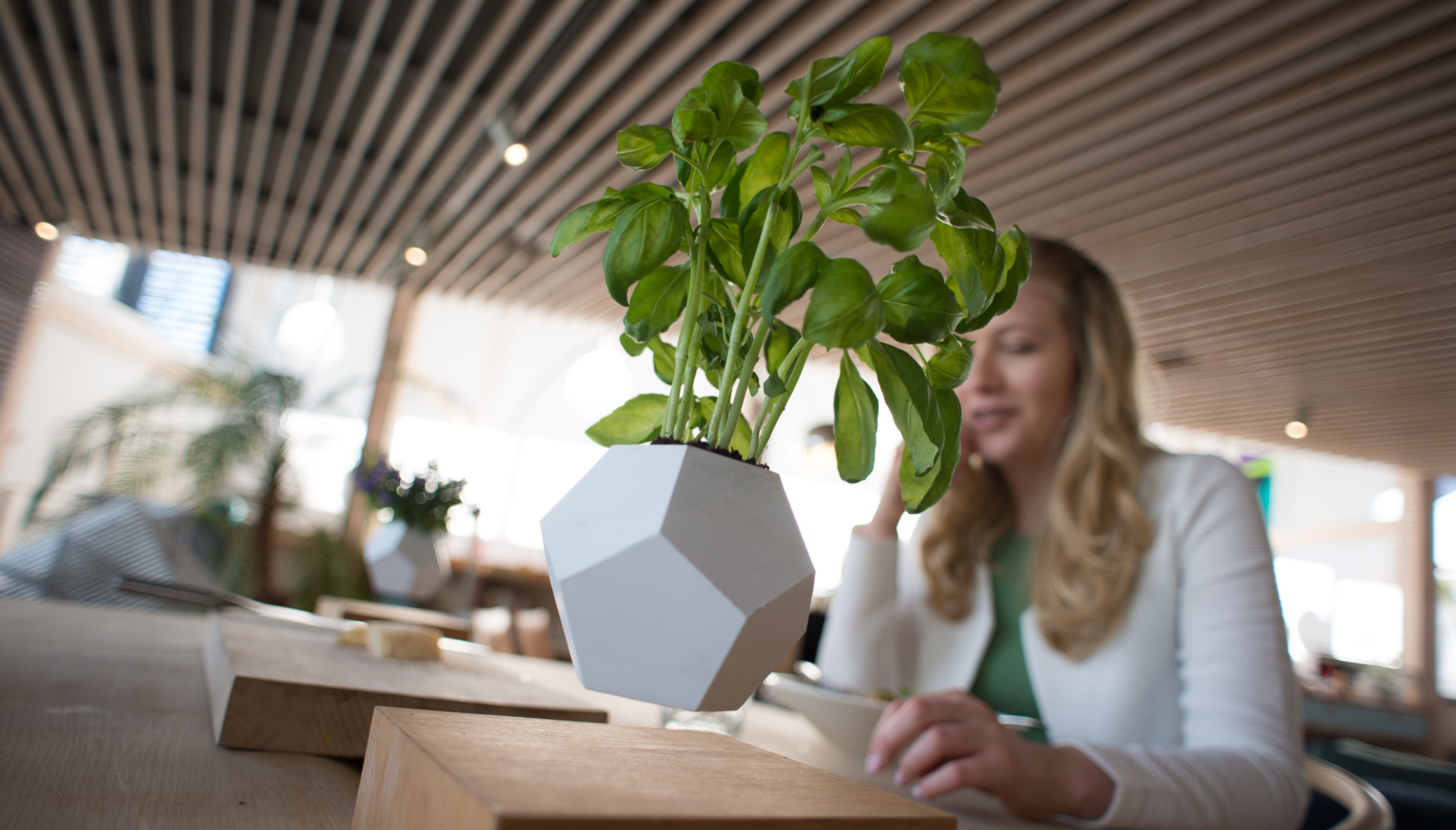 Lyfe schwebende Vase mit Basilikum, magnetische Pflanzgefäße für Zimmerpflanzen, modernes Wohndekor.