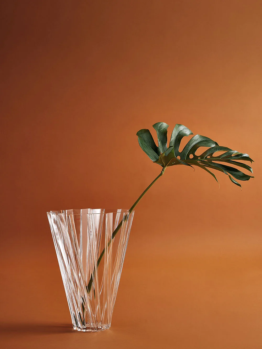 Shanghai Vase von Kartell, klare Design-Vase mit Monstera-Blatt vor braunem Hintergrund.