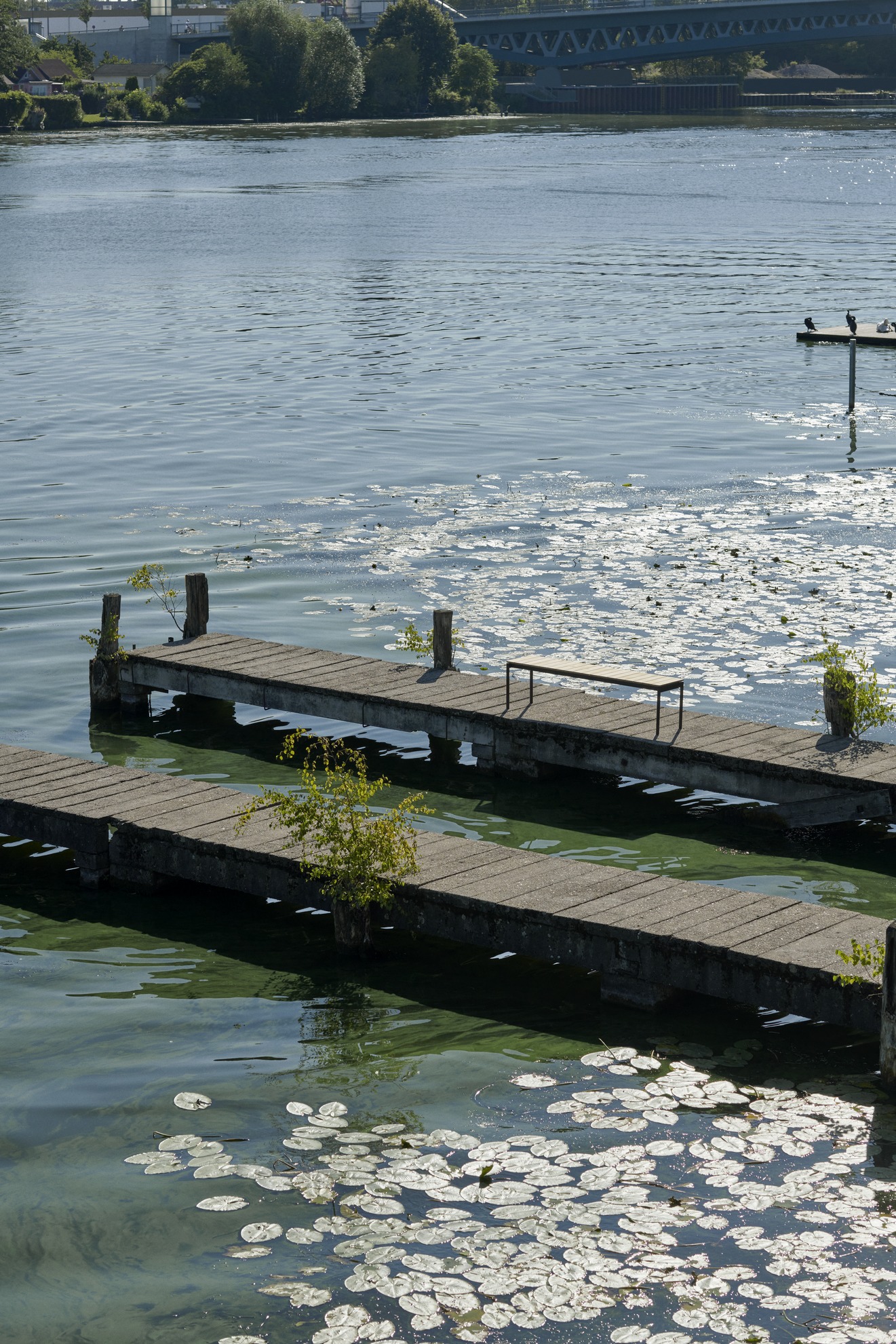 AndTradition Ville Bank AV28 für den Außenbereich auf einem Steg am See mit Seerosen.