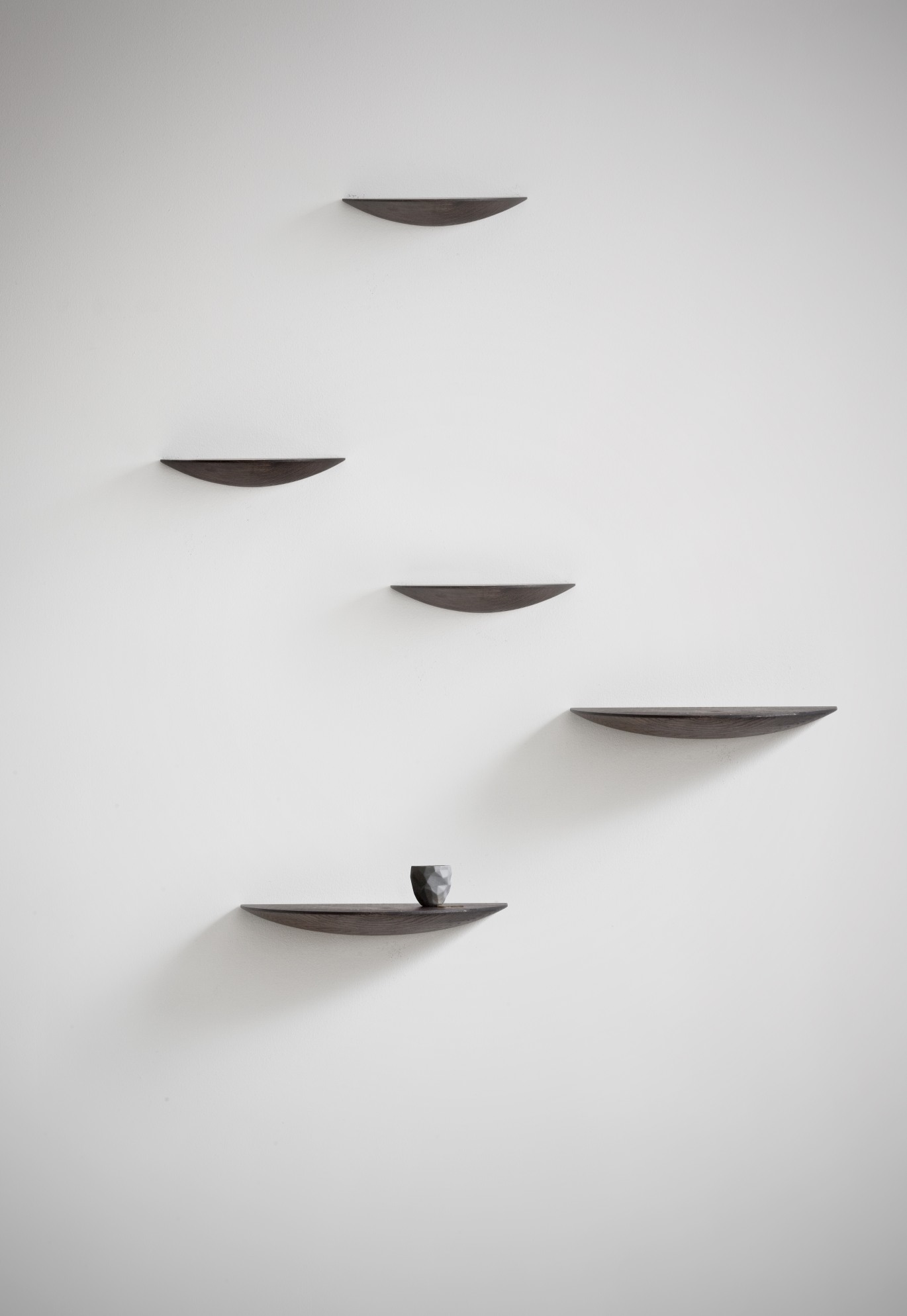 Gridy Fungi Regal, Medium, aus dunkel gebeizter Eiche, an einer weißen Wand montiert.