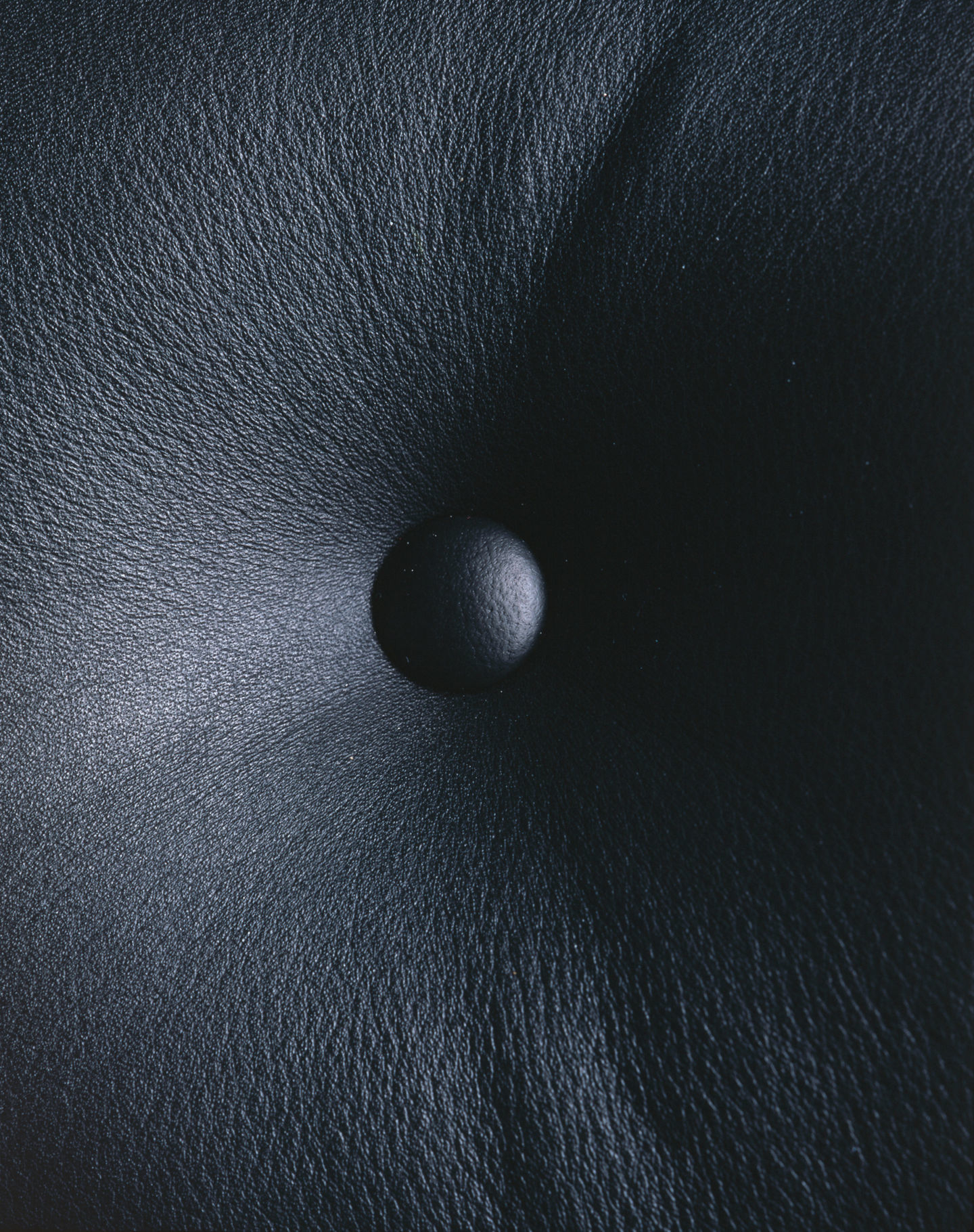 Detailaufnahme: Schwarzes Leder mit Knopf des Vitra Lobby Chair ES104 Stuhls.