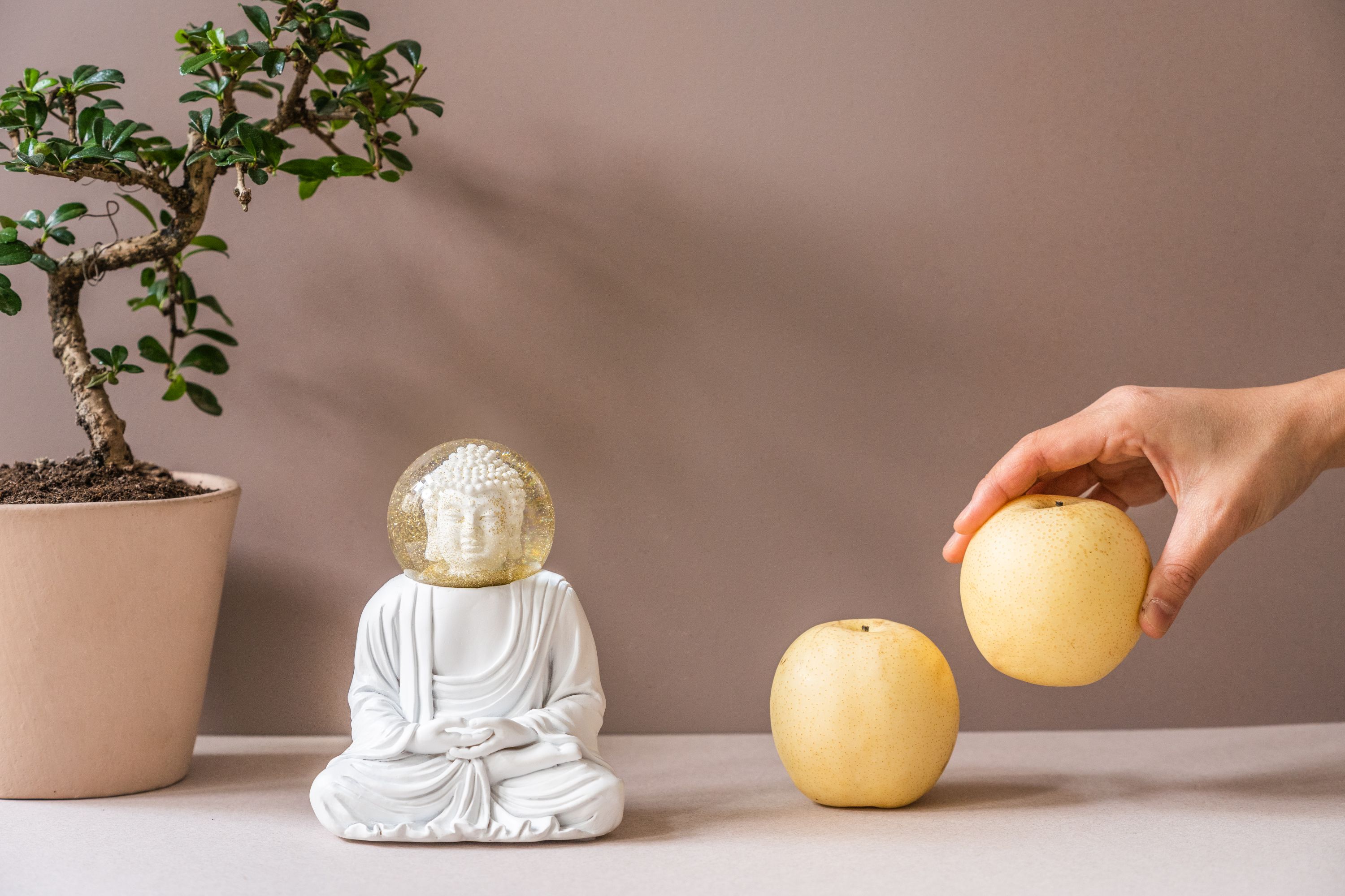 Summerglobes Buddha Glitzerkugel: Weiße Buddha Figur mit Glitzerkugel-Kopf, neben Bonsai und Birnen.