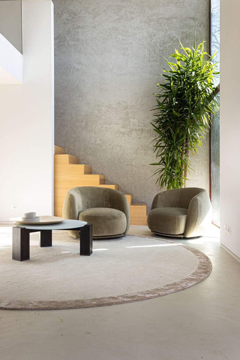 Zwei olivgrüne Pacific Sessel von Moroso in modernem Wohnzimmer mit Teppich und Beistelltisch.