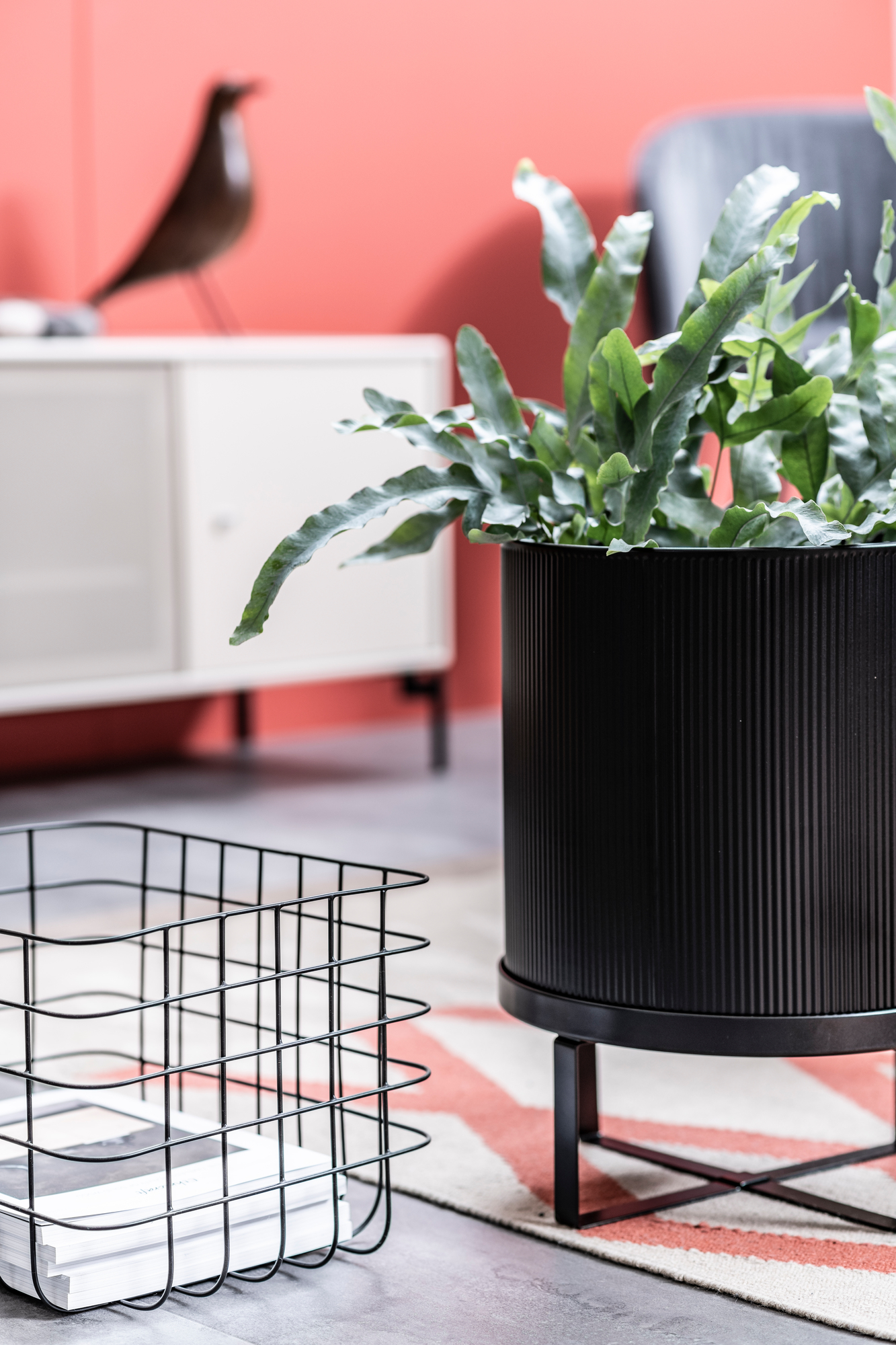Schwarzer Ferm Living Bau Pot Blumentopf, groß, mit Pflanze im modernen Wohnzimmer. Design Pflanzgefäß.