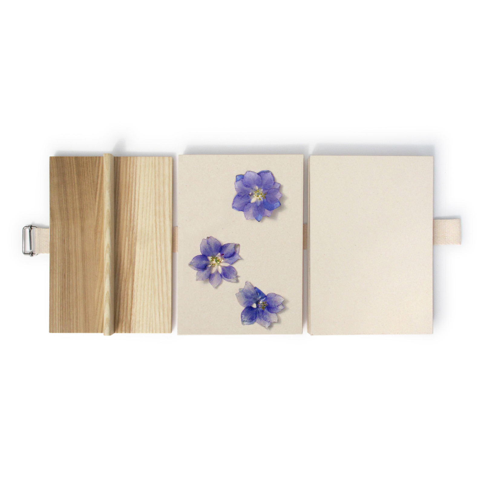 Geöffnete A5 Blütenpresse aus Holz mit gepressten, blauen Blumen auf Papier. DIY Bastelset zum Blumen pressen.