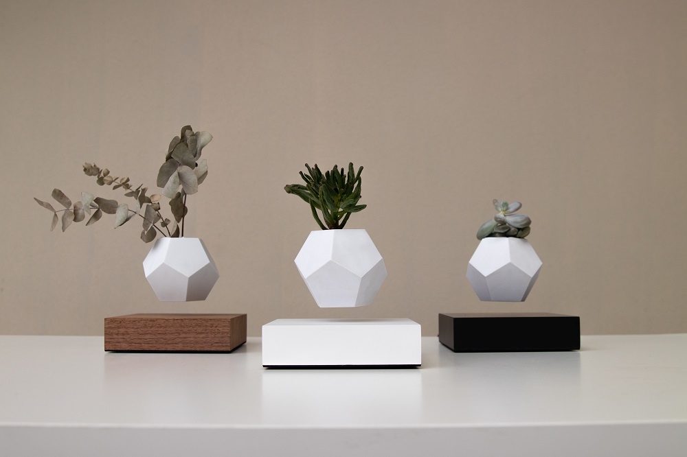 Lyfe schwebende Vase Klein & More Ahorn schwarz EINZELSTÜCK