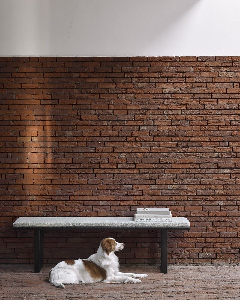 Stability Bank Natural Stoff Ethnicraft vor Backsteinmauer, mit Hund und Büchern. Moderne Sitzbank für Wohnzimmer.