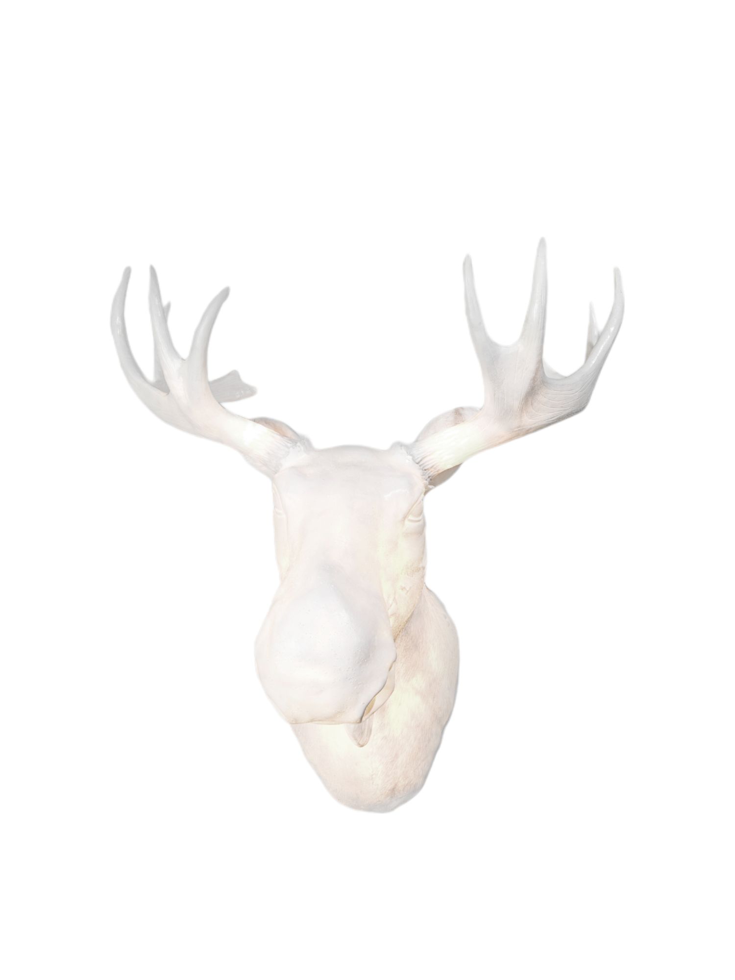 Weiße Moo Wandleuchte in Elch-Form, moderne Wanddeko für Wohnzimmer und Schlafzimmer.