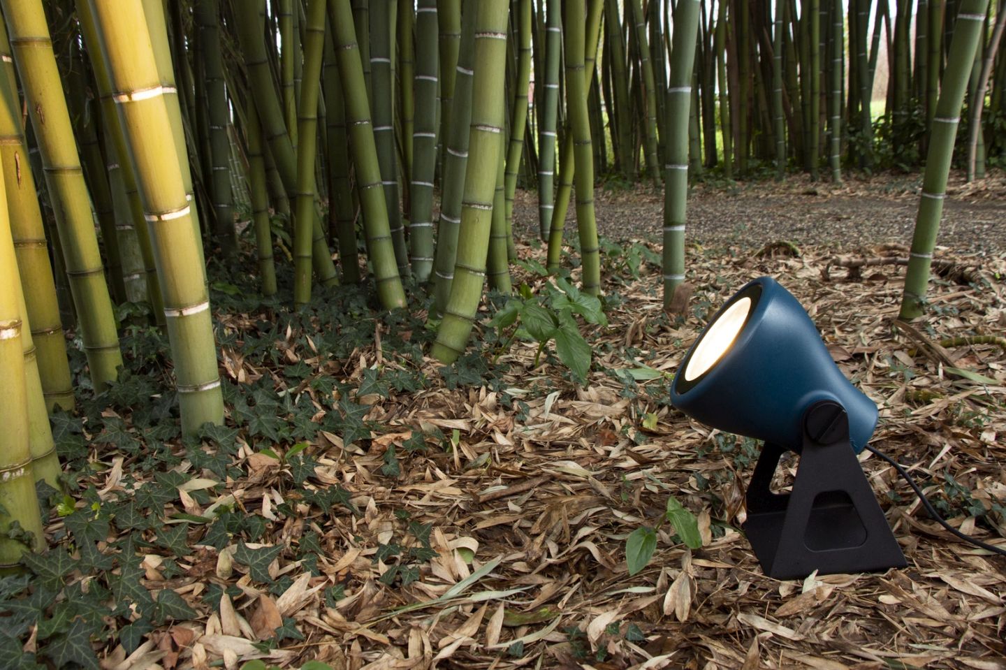 Blaue Mini Frog Outdoor Leuchte von Martinelli Luce im Bambusgarten, stimmungsvolle Gartenbeleuchtung.