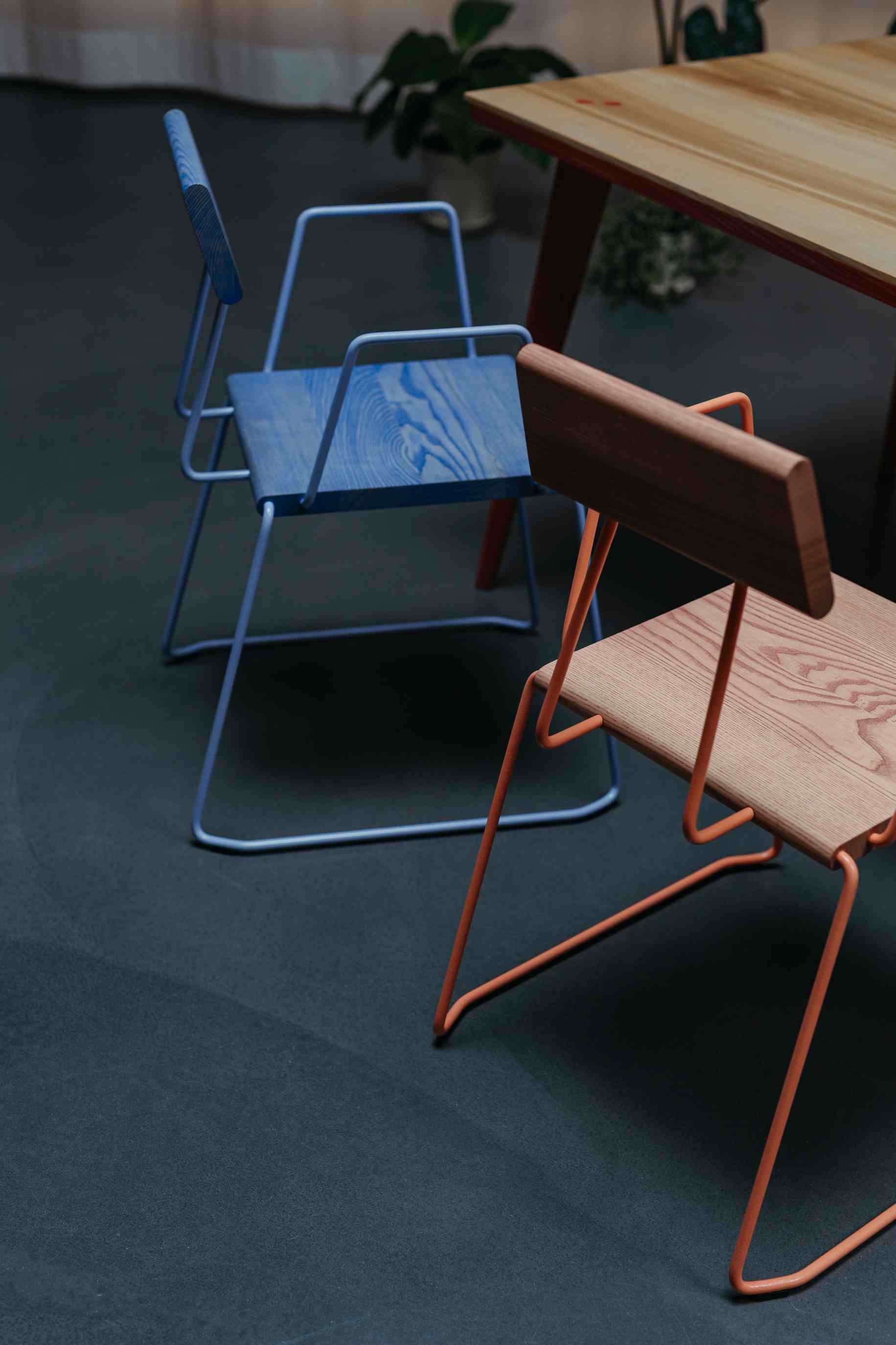 Fuchs & Habicht Stühle: Moderner Design Stuhl D:006 mit Armlehnen in Weiß und Holz.